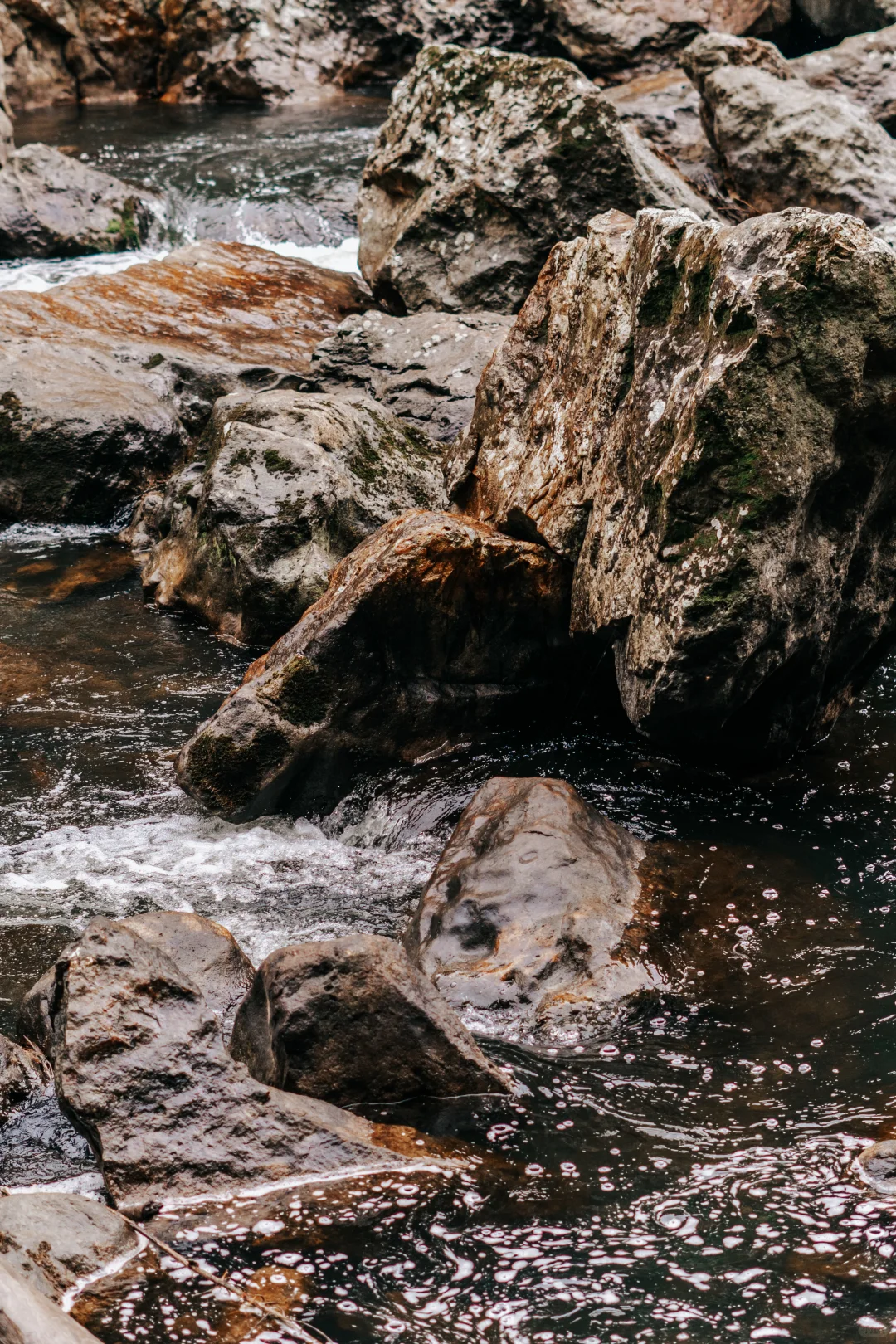 北岛最像鬼怪场景的徒步路线！Karangahake