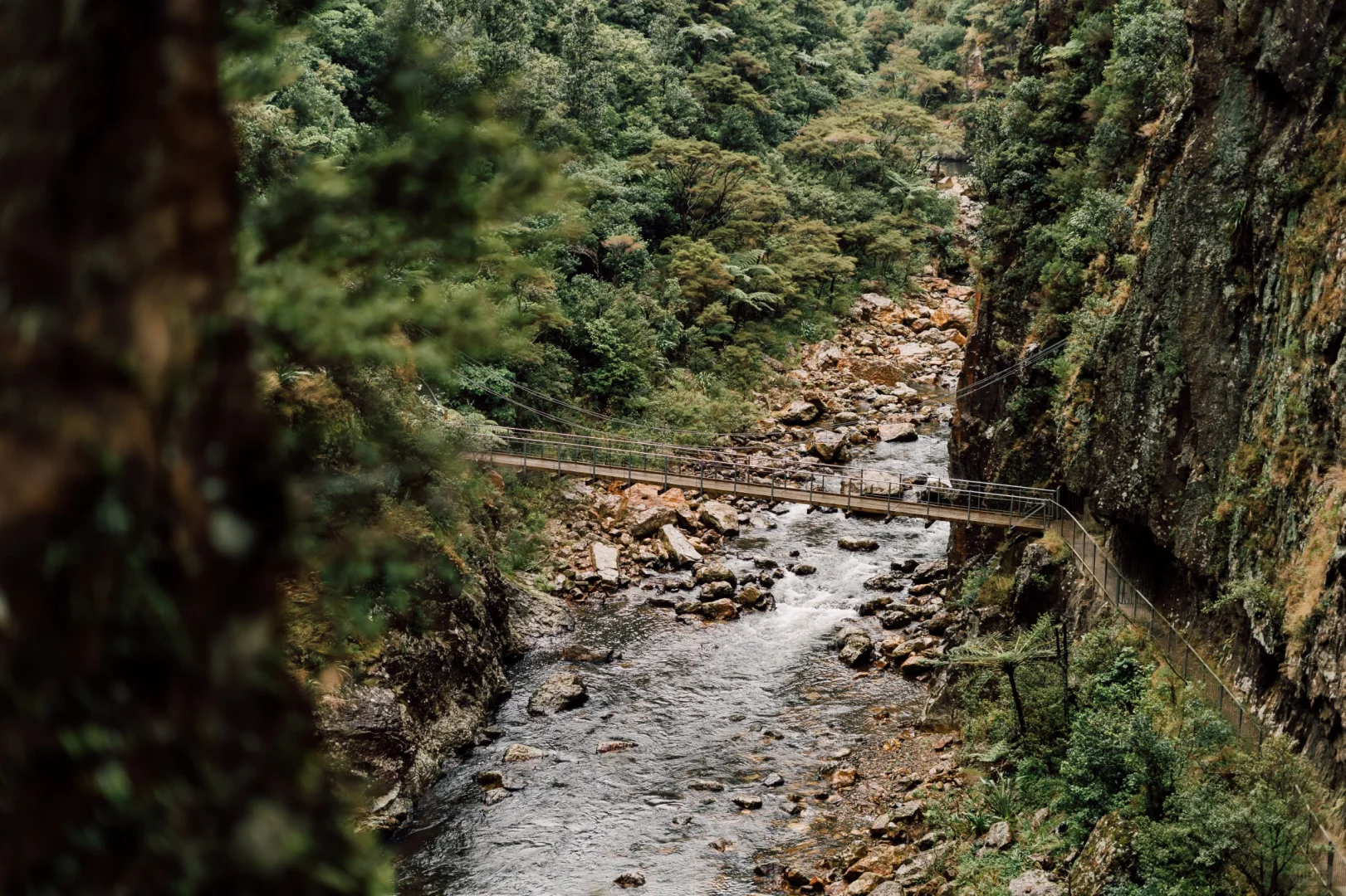 北岛最像鬼怪场景的徒步路线！Karangahake