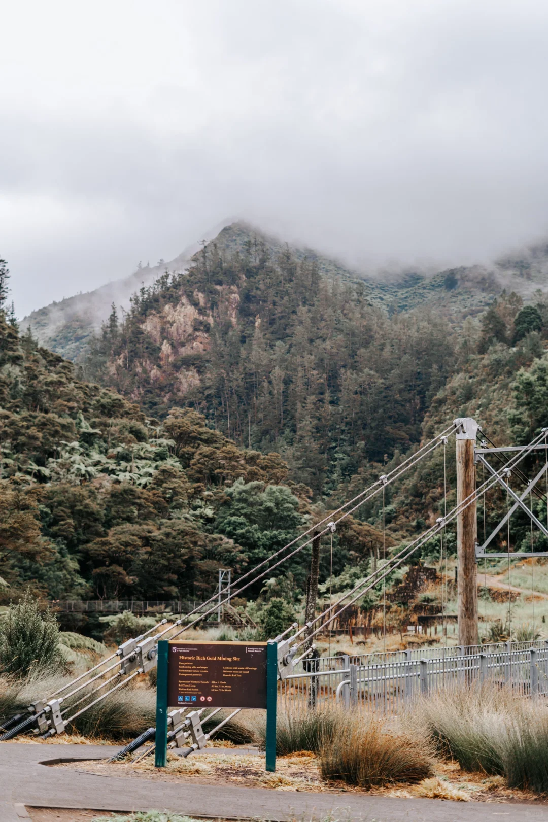 北岛最像鬼怪场景的徒步路线！Karangahake