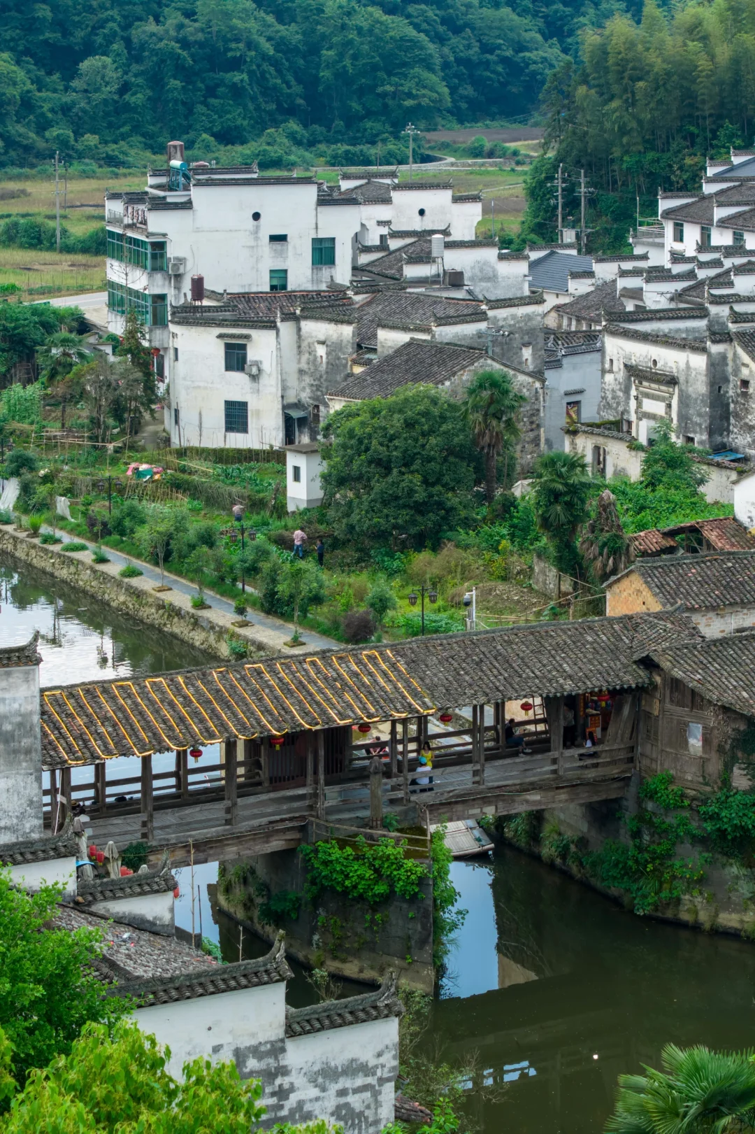 婺源刚回来，建议能量低的都去治愈一下🍃