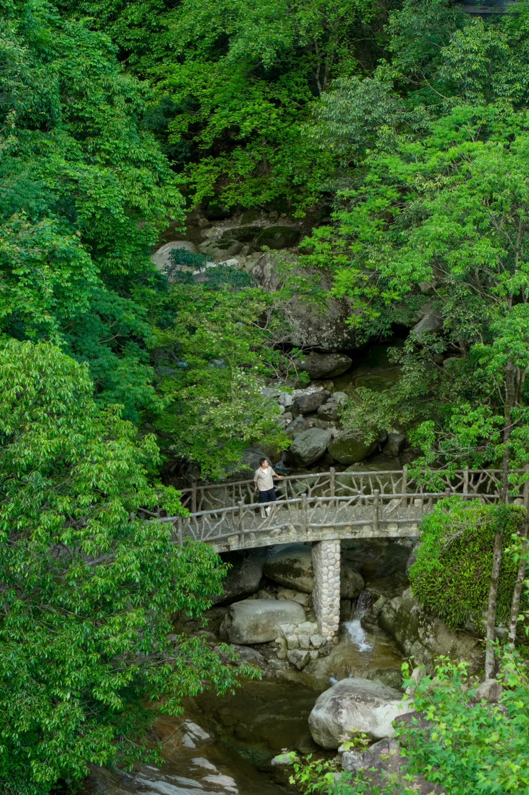 婺源刚回来，建议能量低的都去治愈一下🍃
