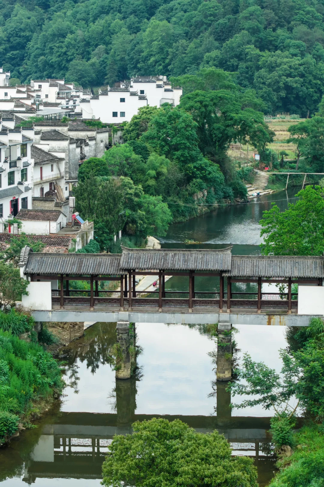 婺源刚回来，建议能量低的都去治愈一下🍃