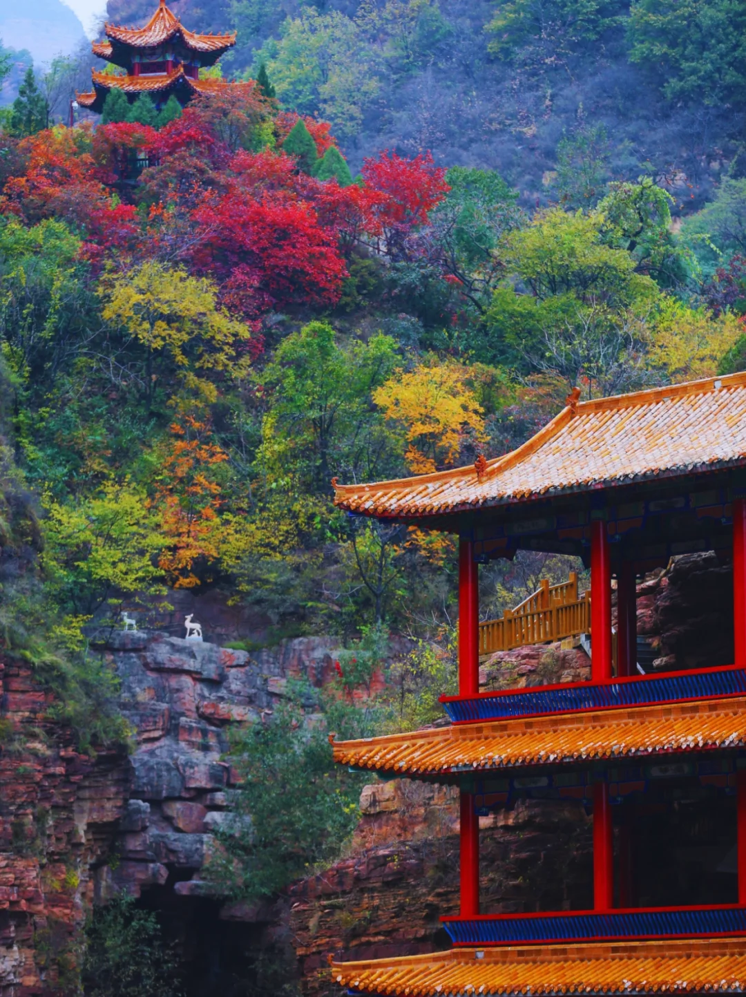 五一反向旅游赢麻了！