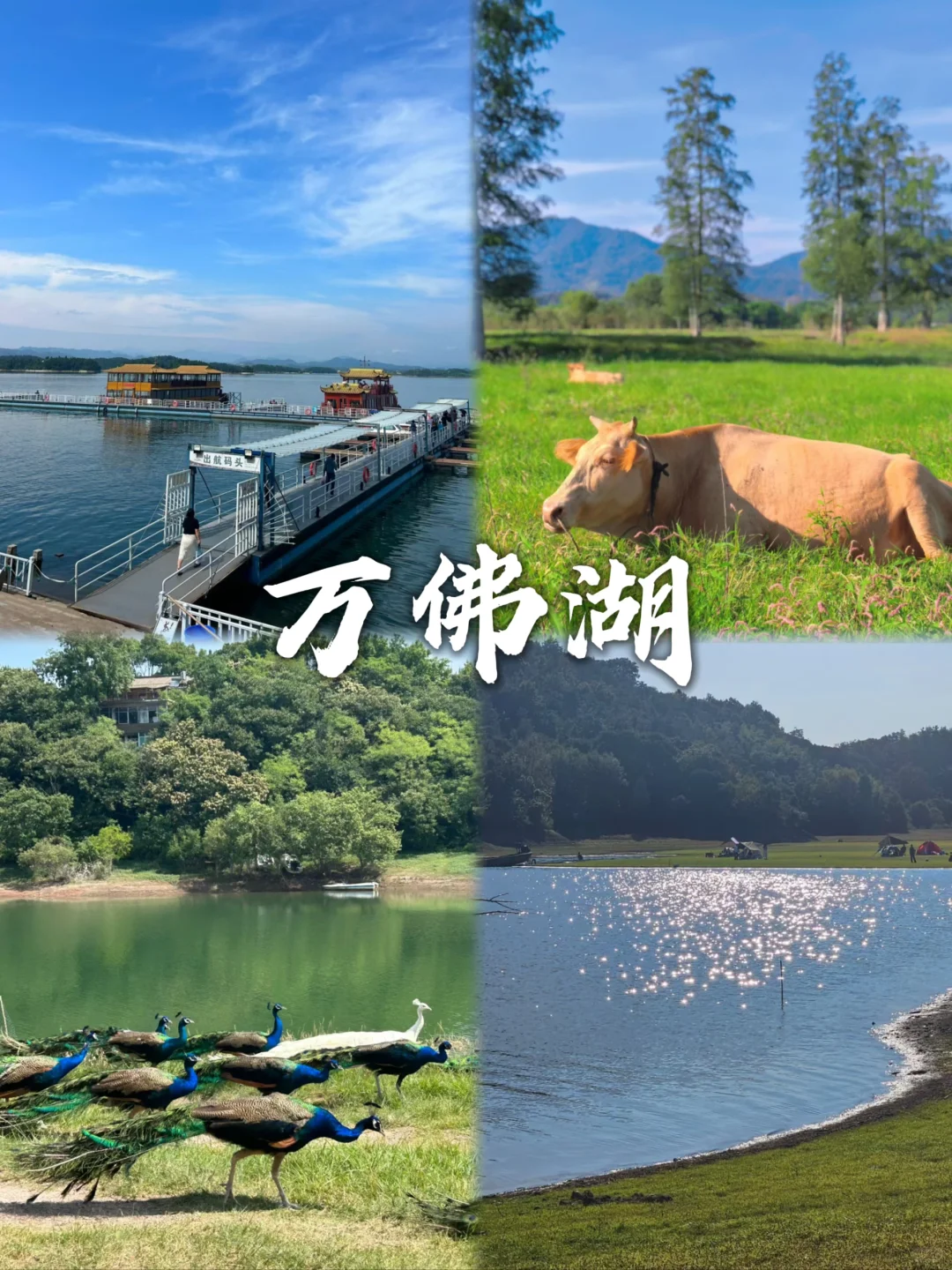 安徽这九个景点，你去过几个？