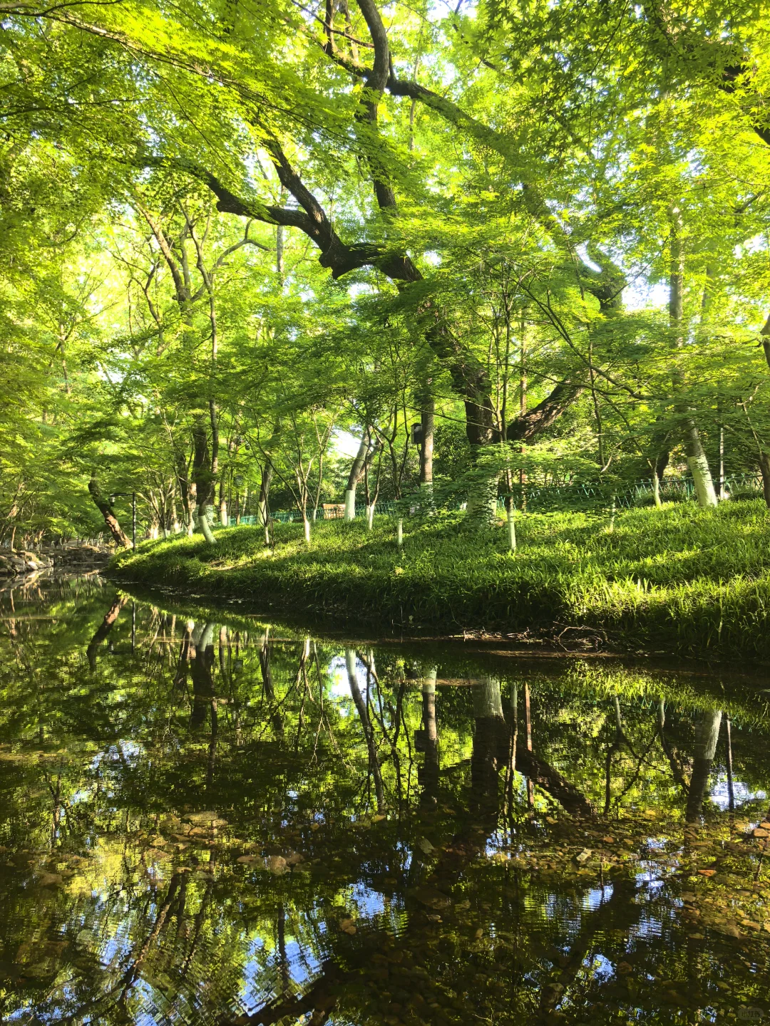 建议把杭州这条徒步线路列为国家级美色