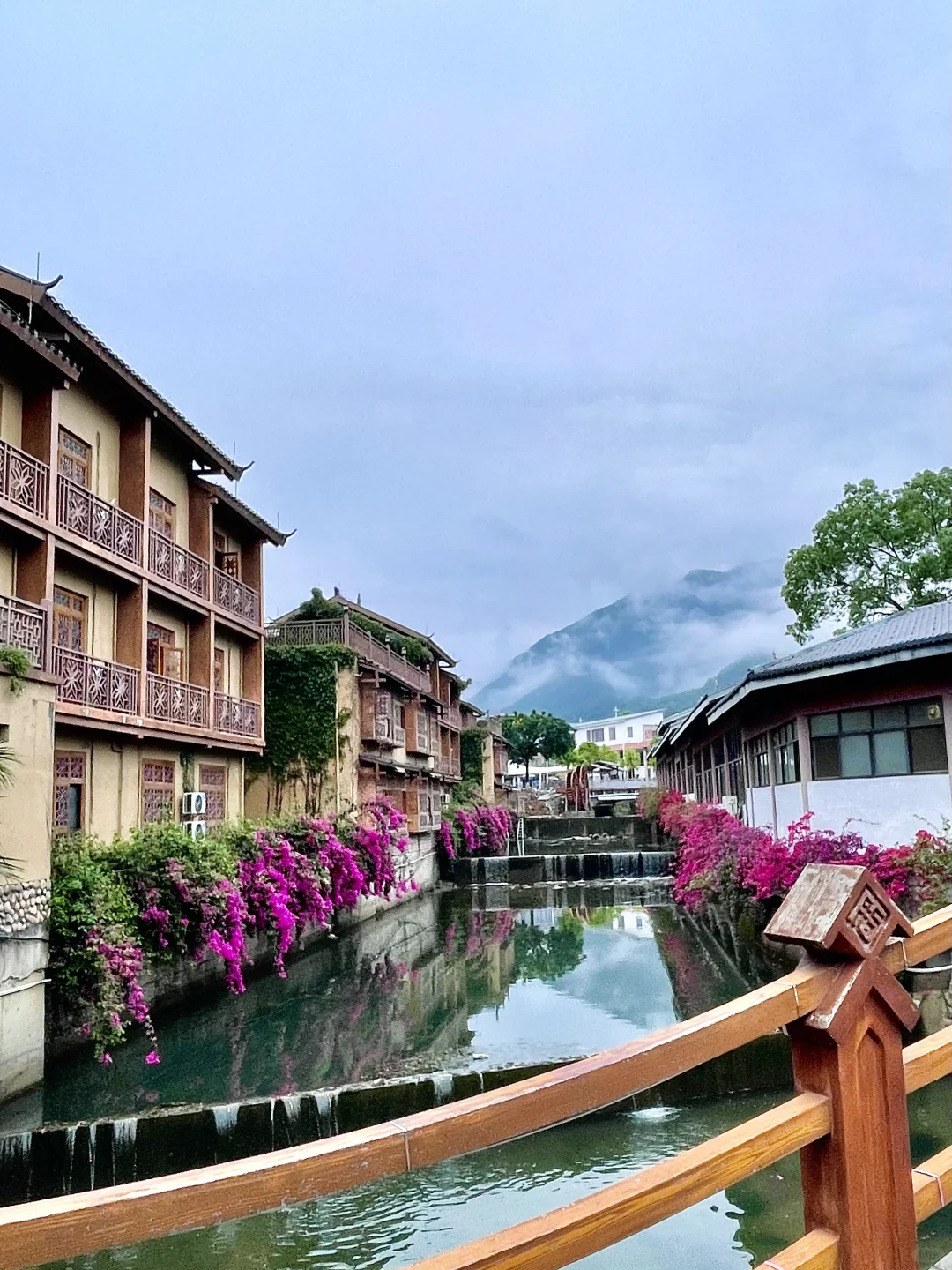 真的在广东‼️这个隐藏在山林的云海小镇绝了