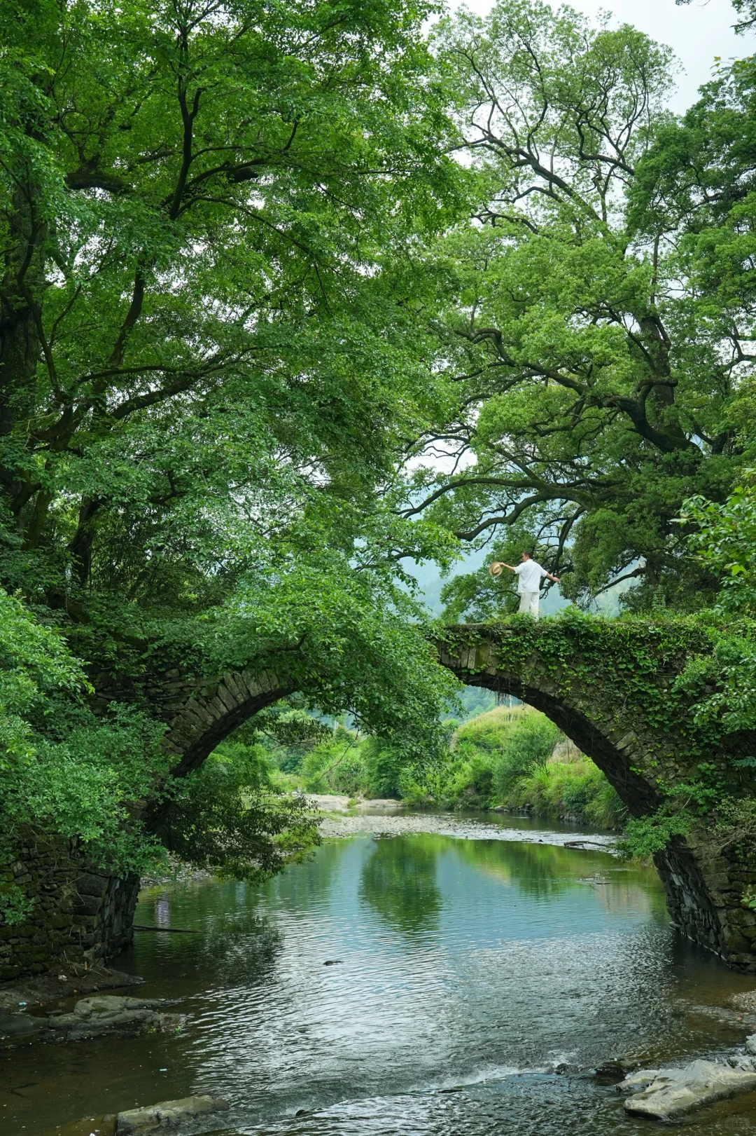 婺源刚回来，建议能量低的都去治愈一下🍃