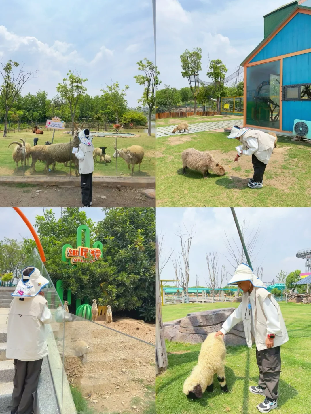 小众人少❗️又找到一个宝藏遛娃乐园