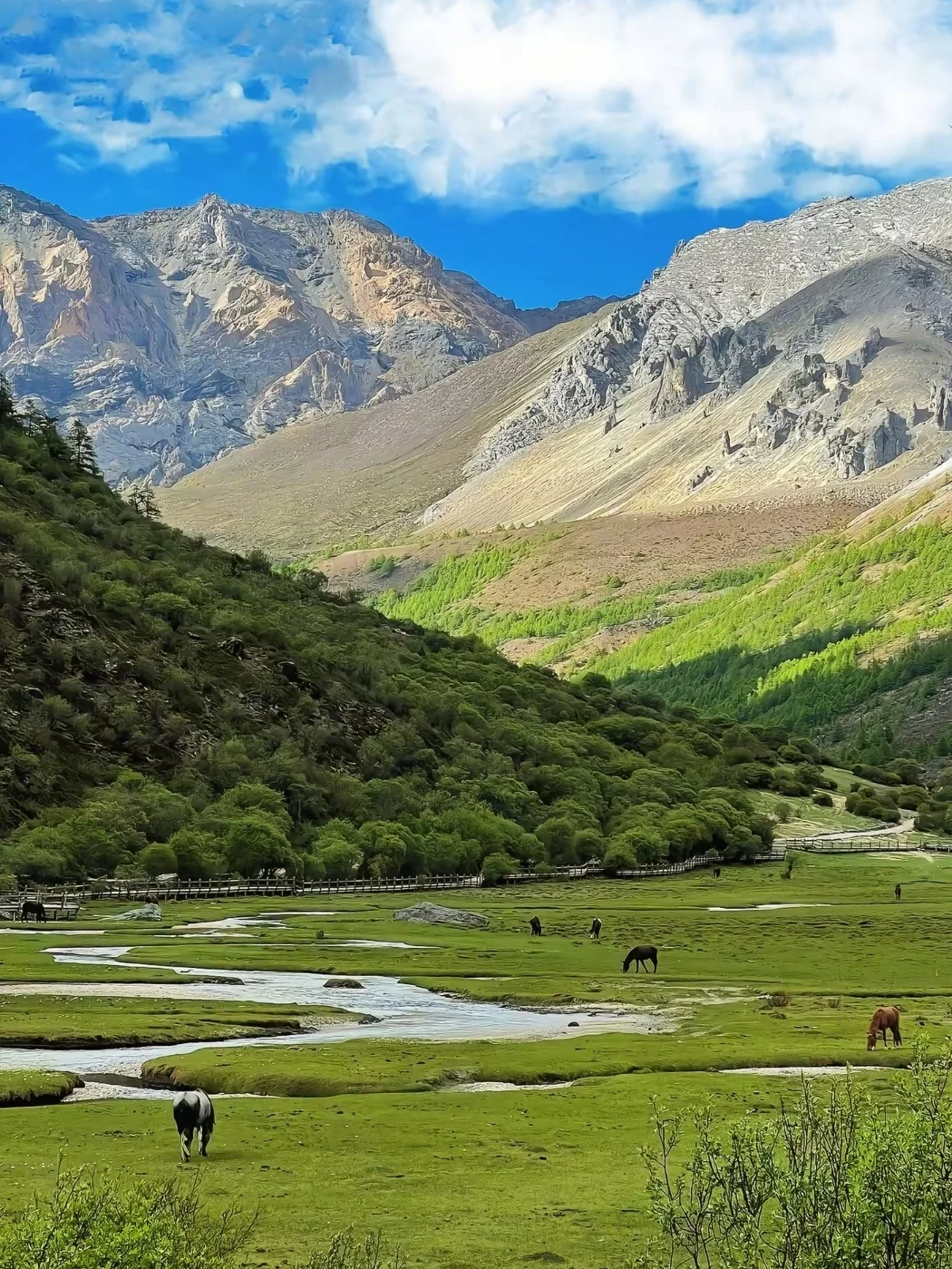 救命❗稻城亚丁真的美到窒息✨附旅游攻略！