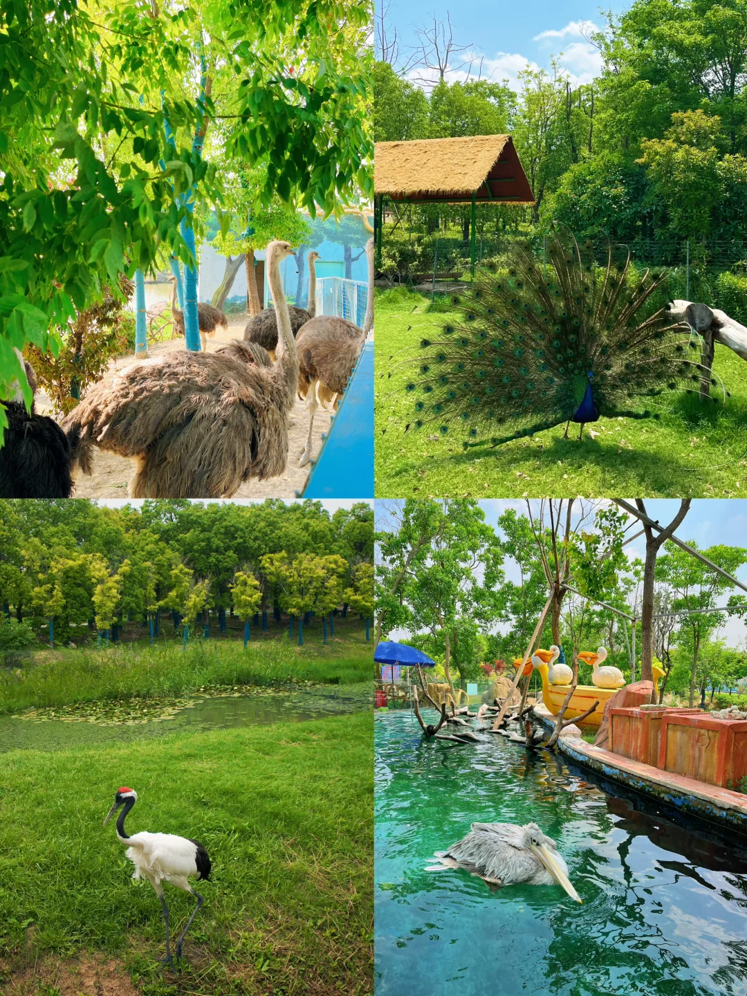 小众人少❗️又找到一个宝藏遛娃乐园