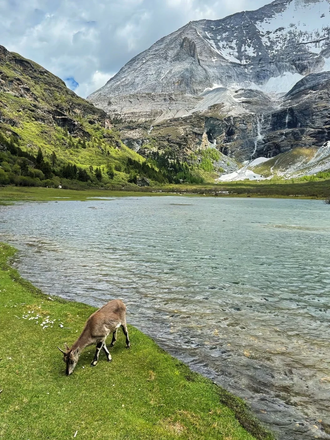 救命❗稻城亚丁真的美到窒息✨附旅游攻略！