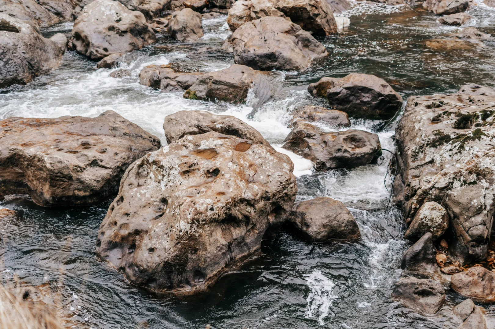 北岛最像鬼怪场景的徒步路线！Karangahake