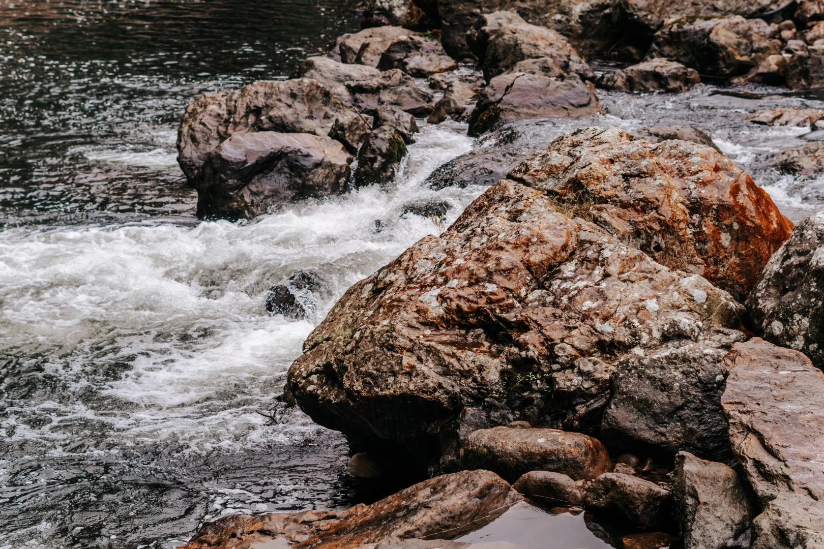 北岛最像鬼怪场景的徒步路线！Karangahake