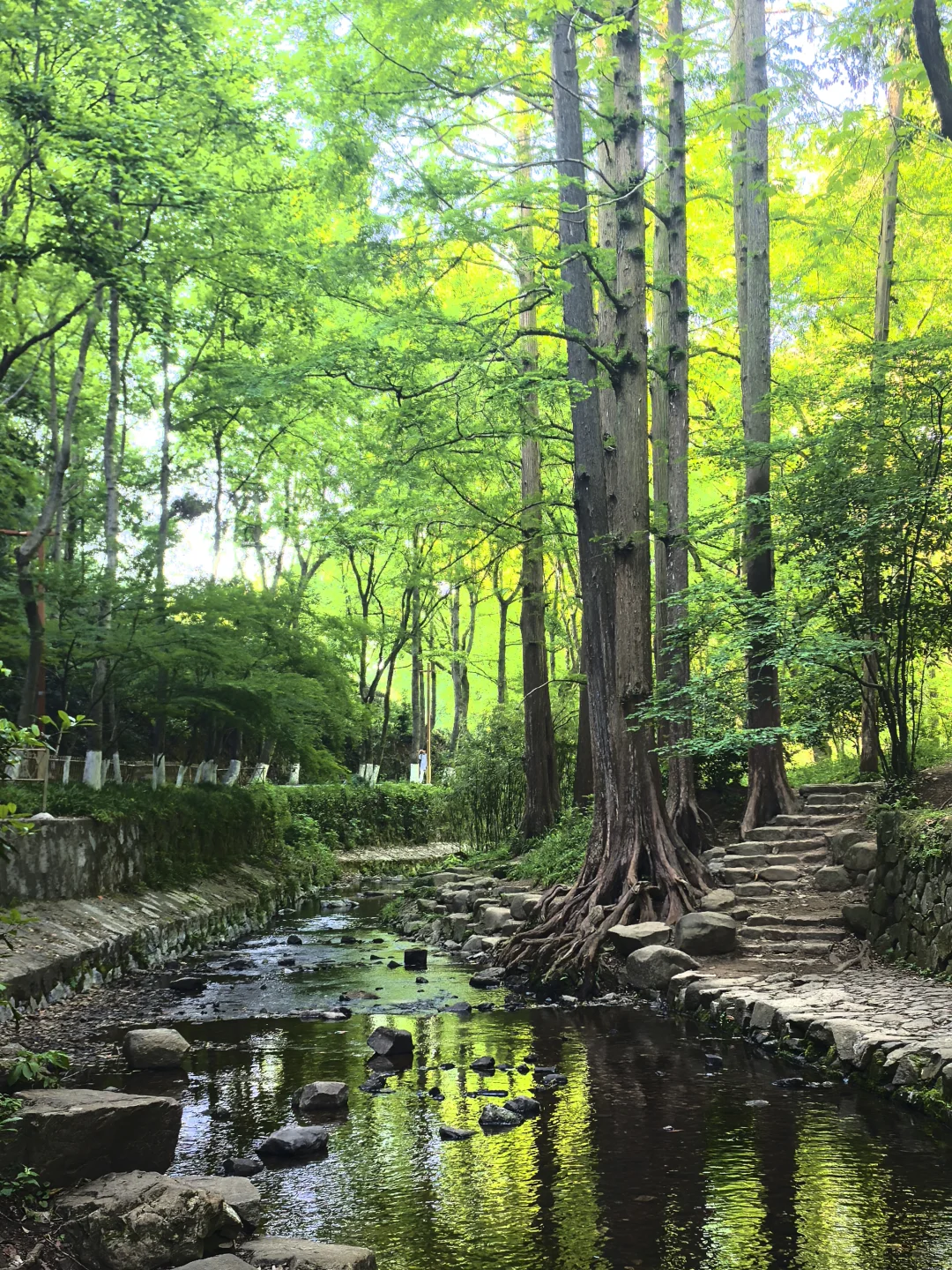 建议把杭州这条徒步线路列为国家级美色