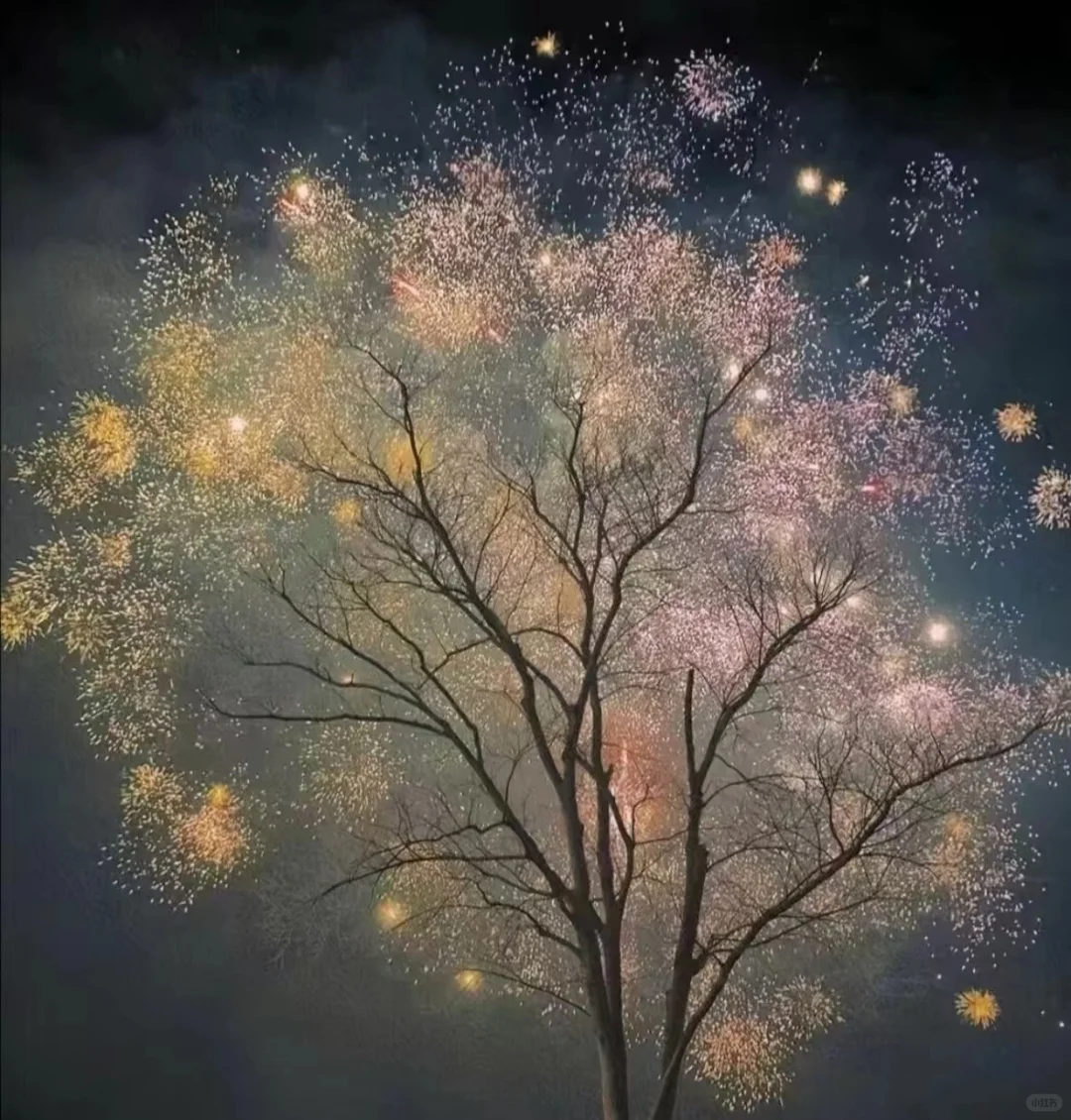 端午大王山烟花盛宴震撼来袭!