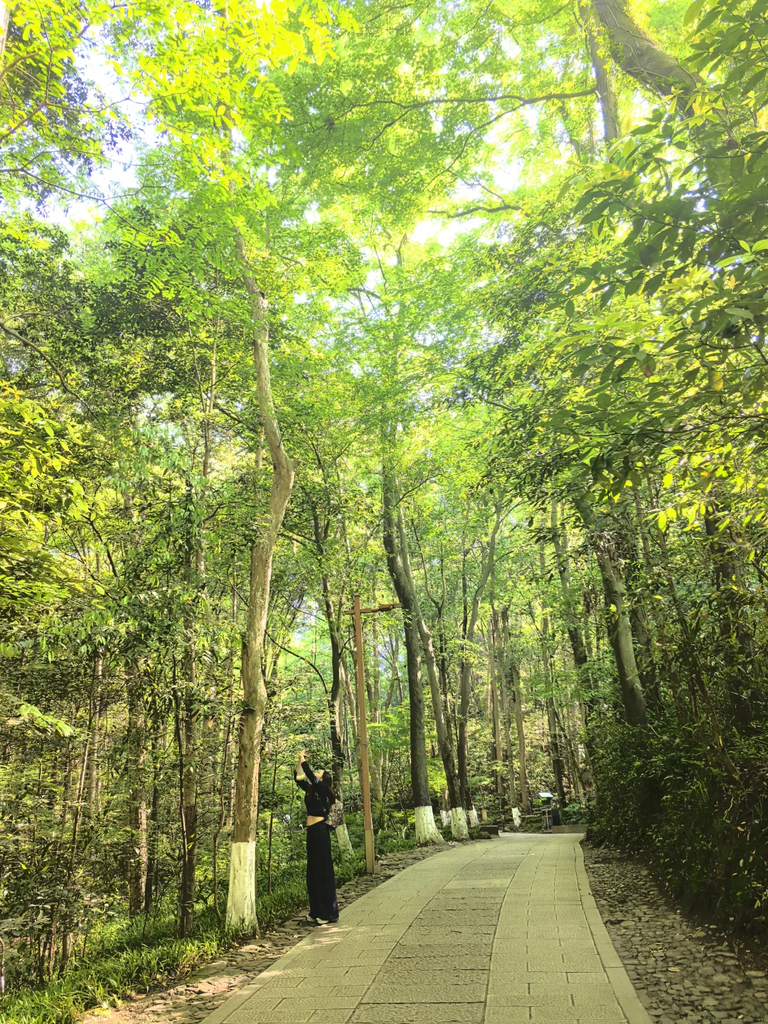 建议把杭州这条徒步线路列为国家级美色