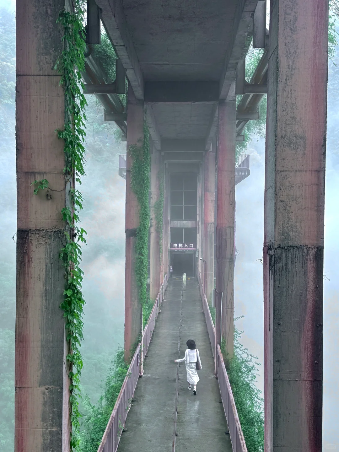 真的在广东‼️这个隐藏在山林的云海小镇绝了