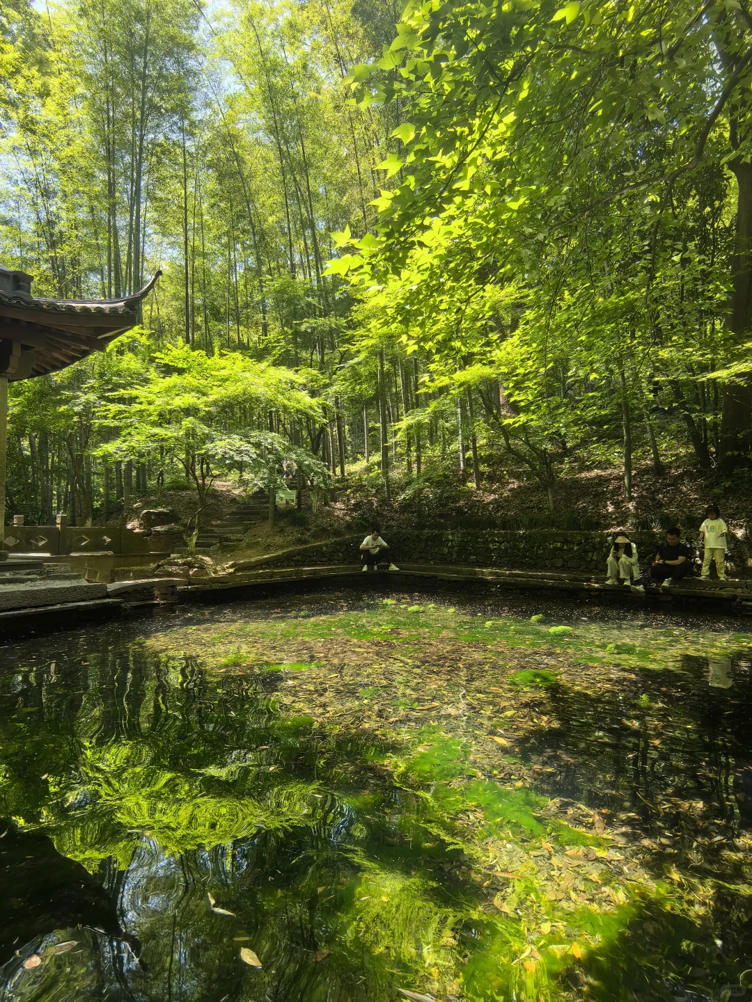 建议把杭州这条徒步线路列为国家级美色