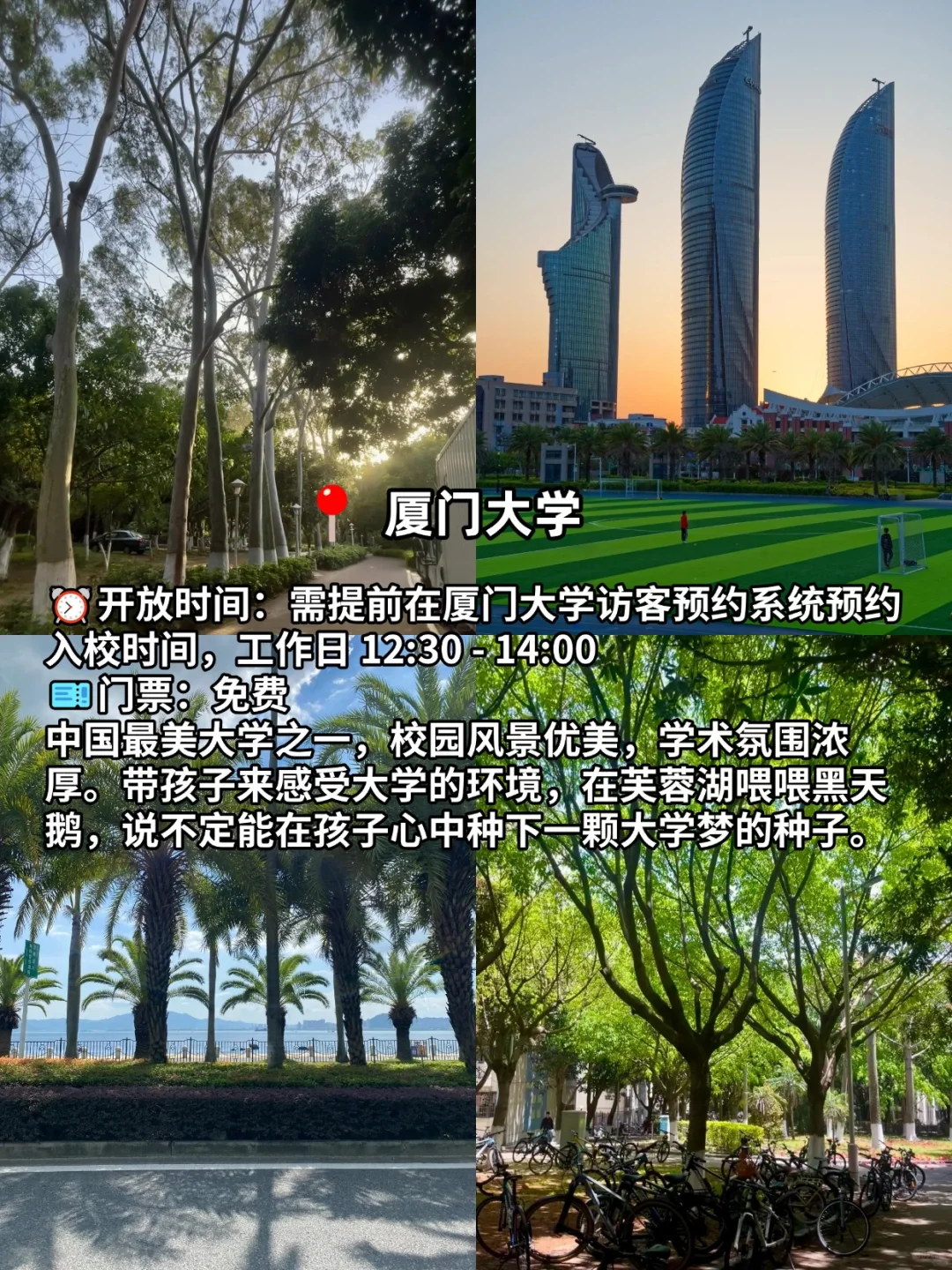 五一带娃去厦门旅行，一定要去这9个地方！