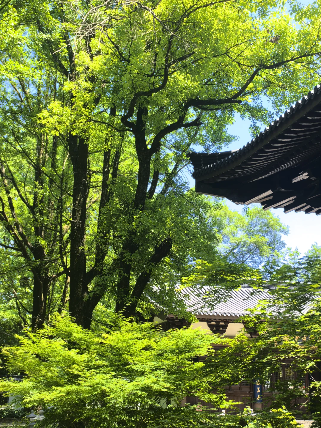 建议把杭州这条徒步线路列为国家级美色