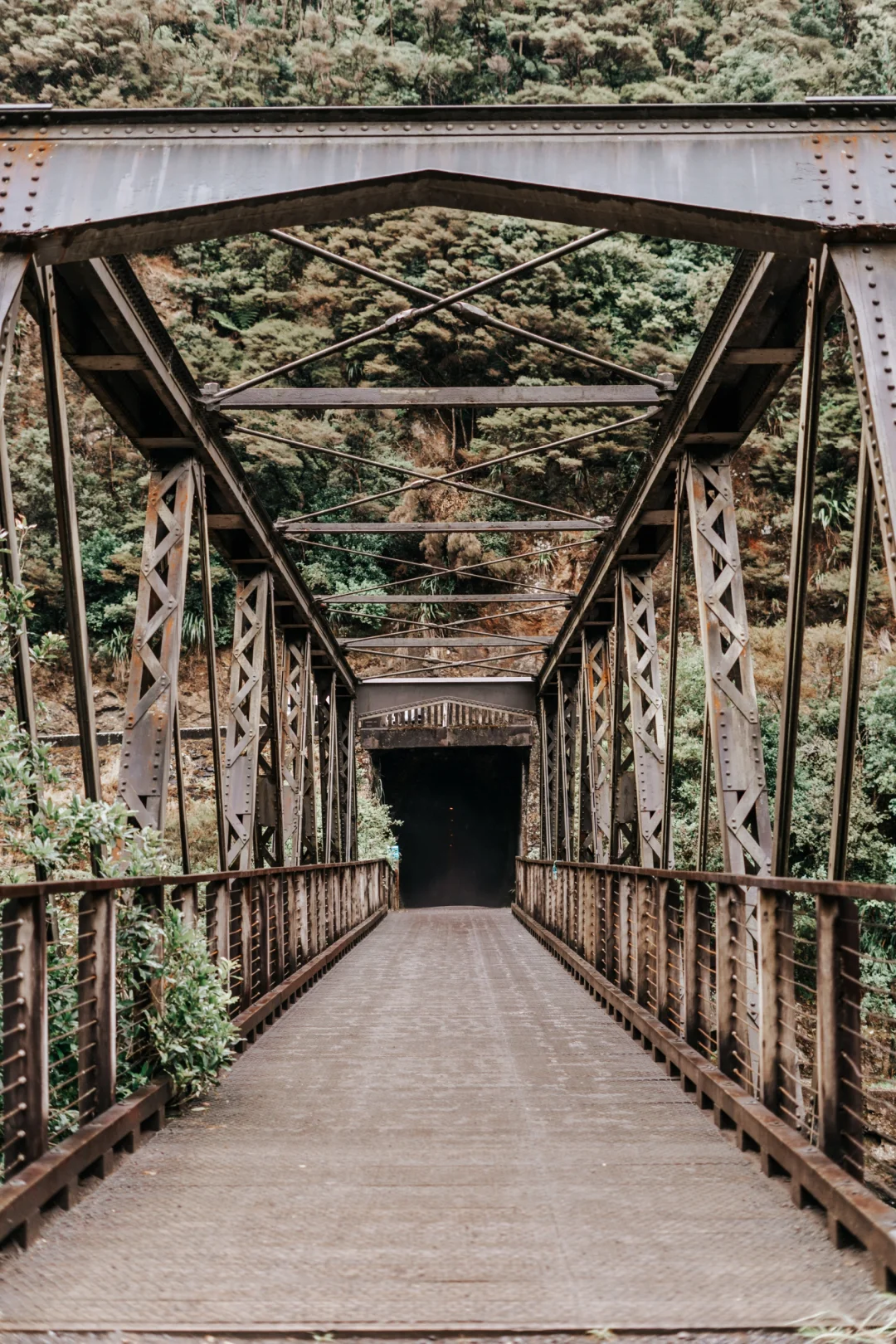 北岛最像鬼怪场景的徒步路线！Karangahake
