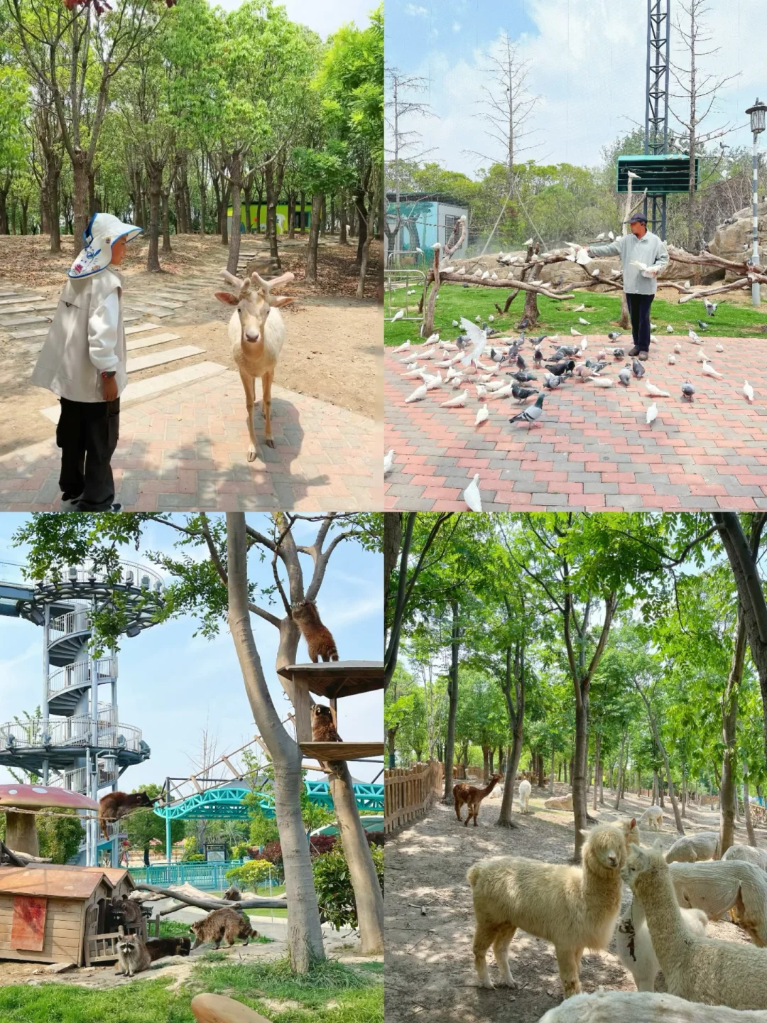 小众人少❗️又找到一个宝藏遛娃乐园