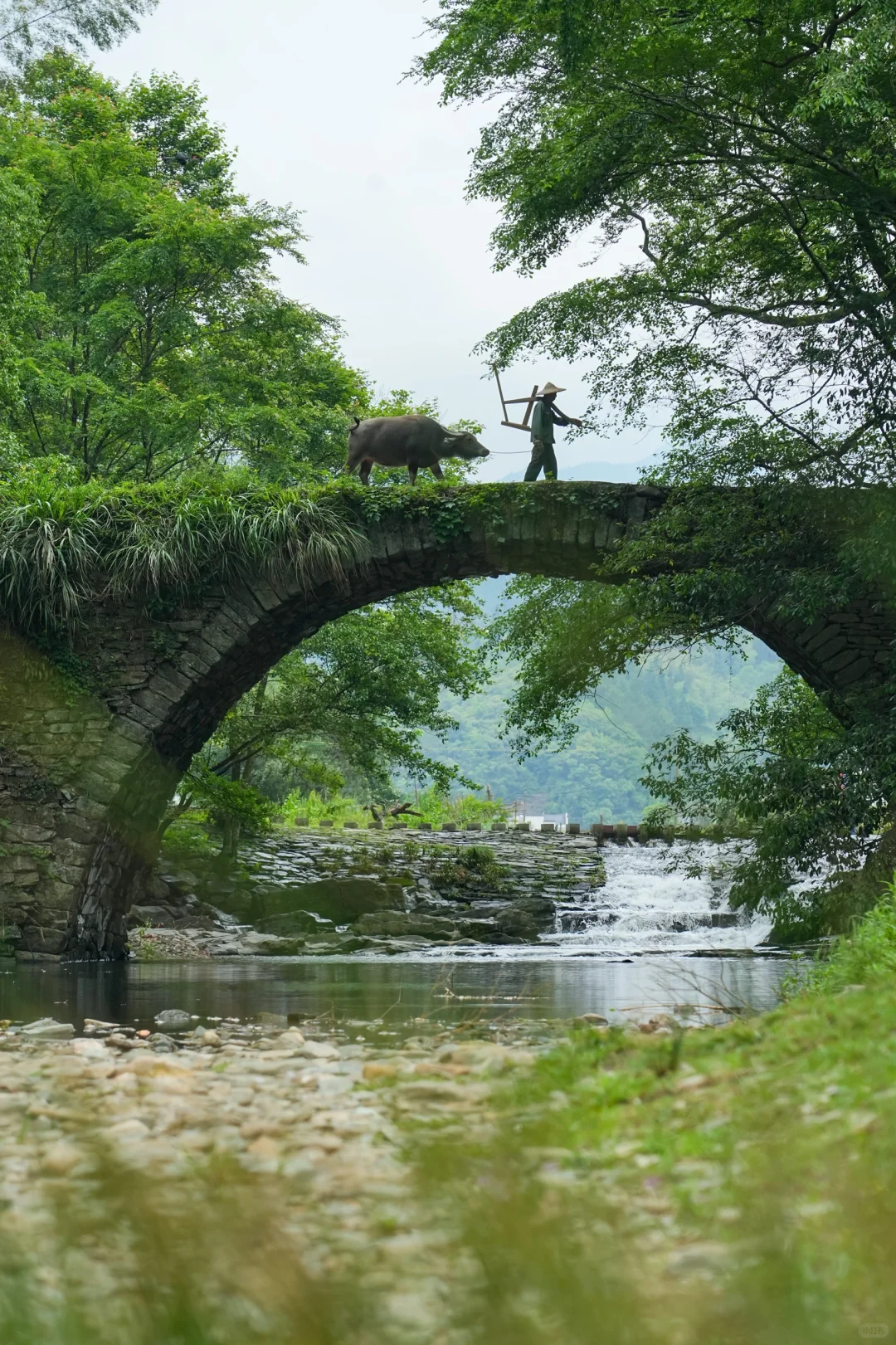 婺源刚回来，建议能量低的都去治愈一下🍃