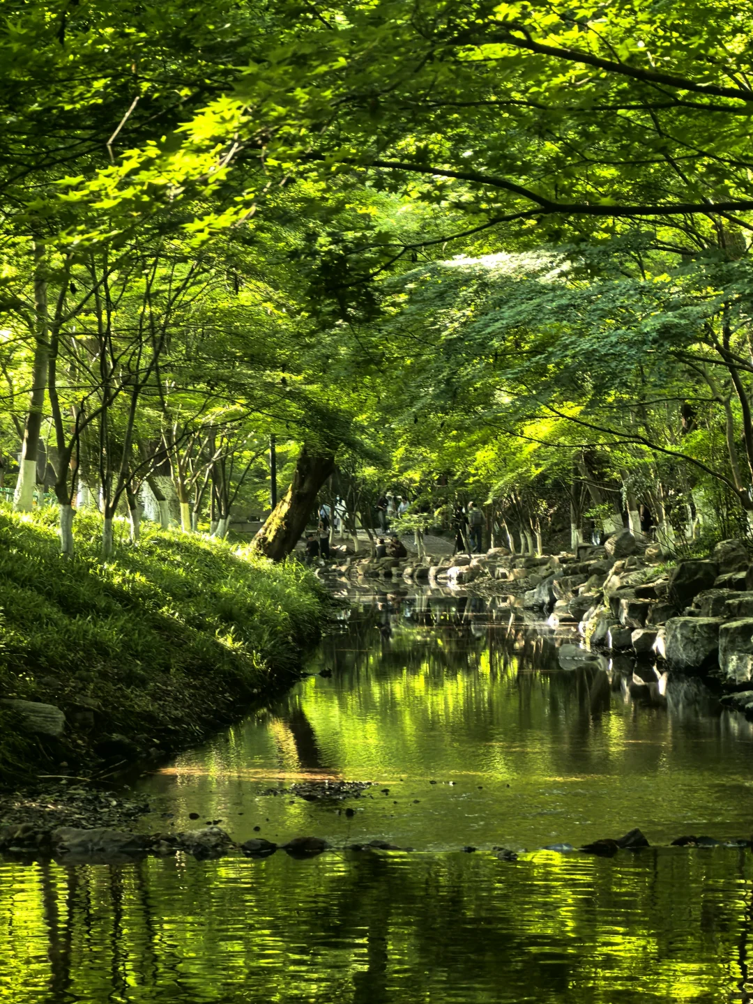 建议把杭州这条徒步线路列为国家级美色