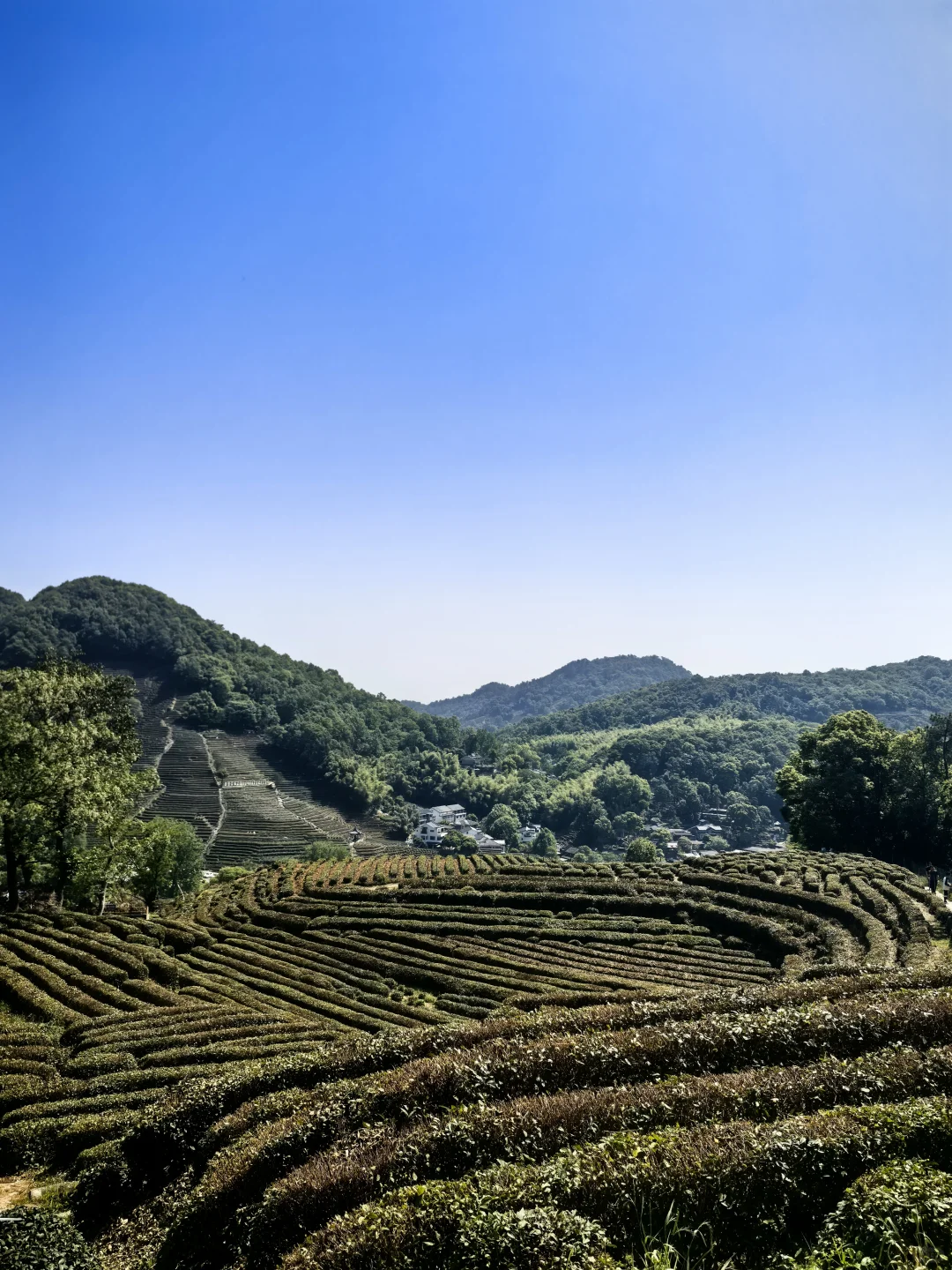 建议把杭州这条徒步线路列为国家级美色