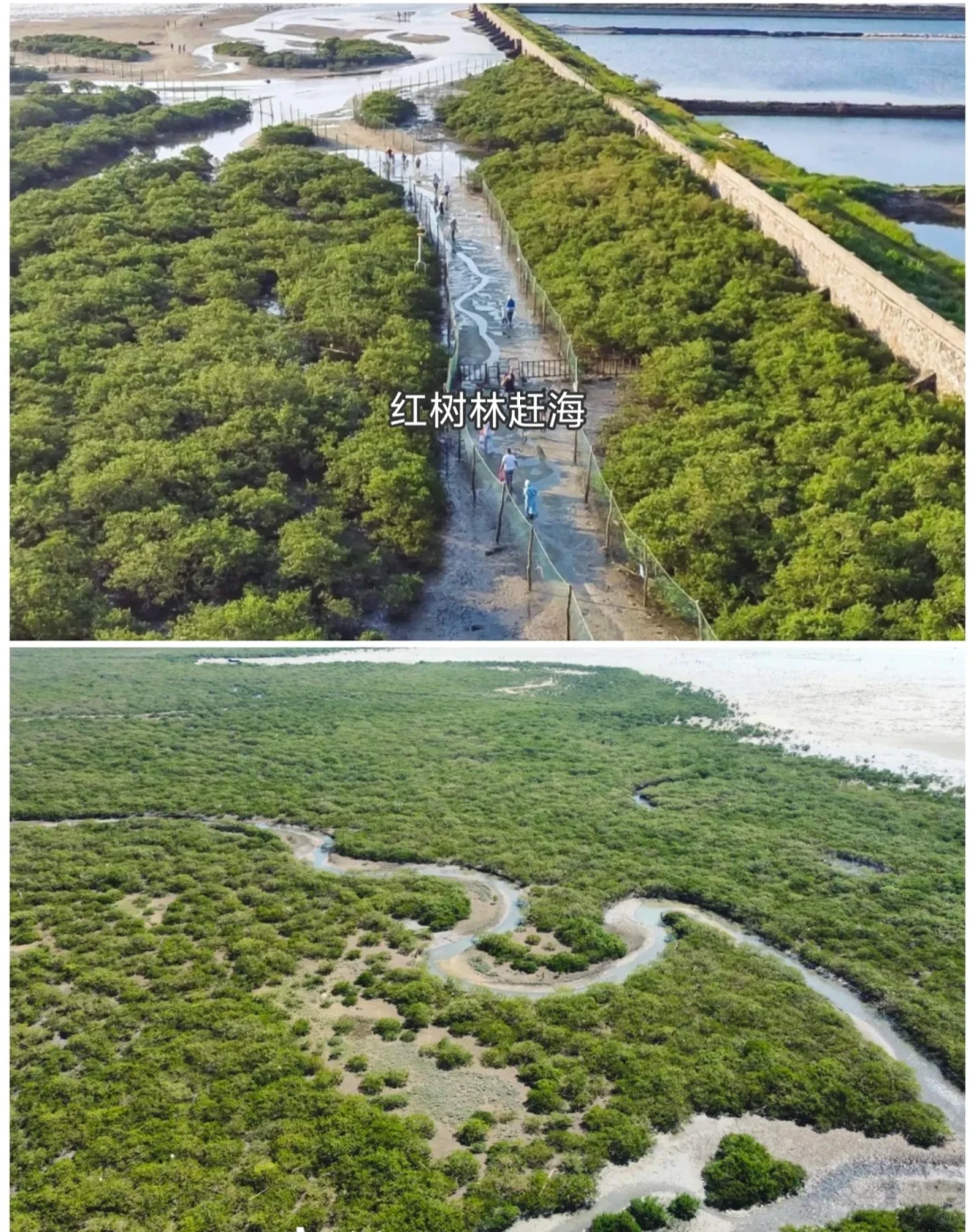 北海超全旅游攻略