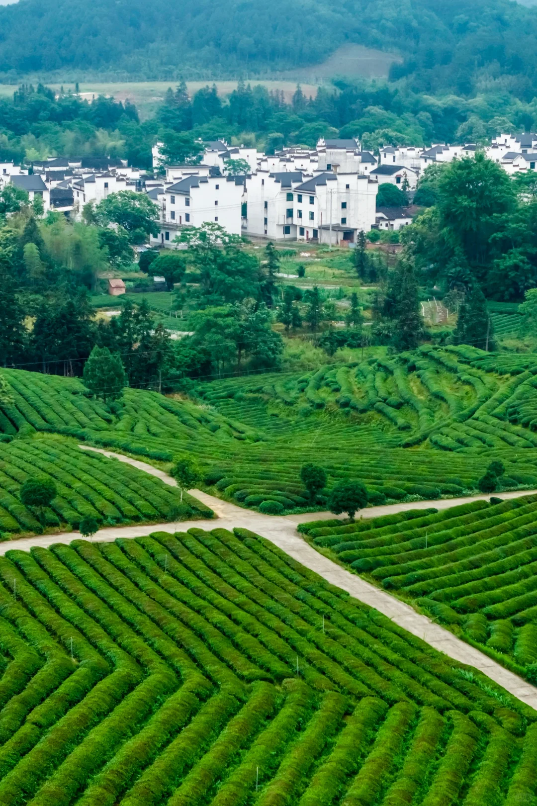 婺源刚回来，建议能量低的都去治愈一下🍃