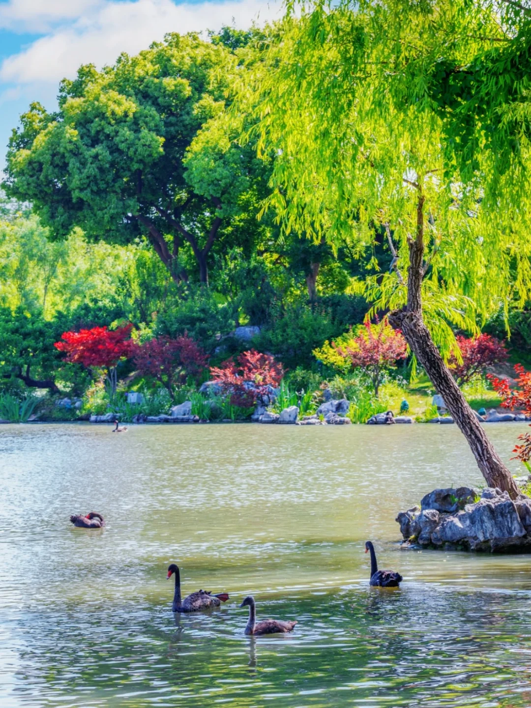超美的江南水乡！🌸烟花三月下扬州