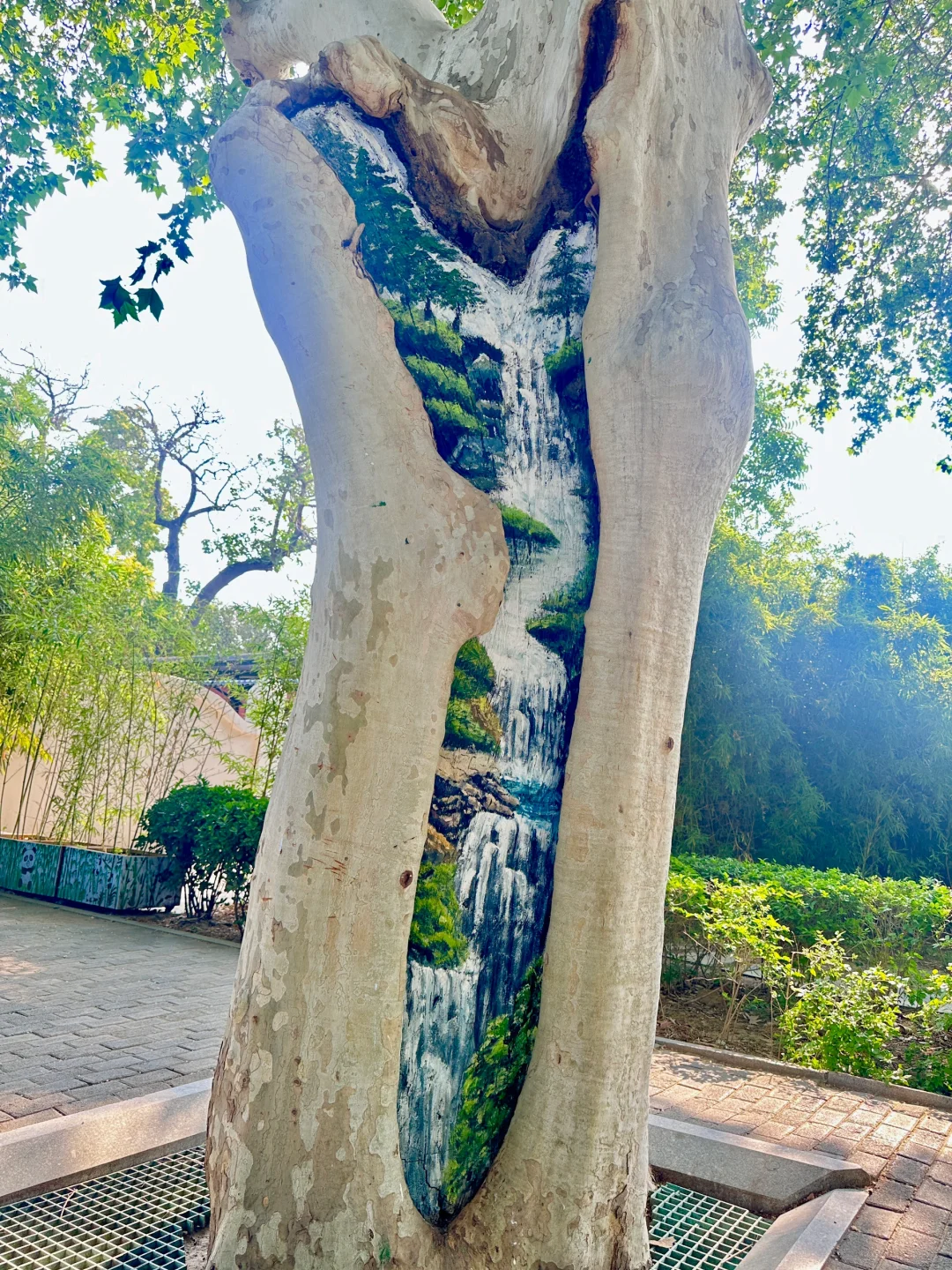 邯郸有点东西❗公园大树开瀑布