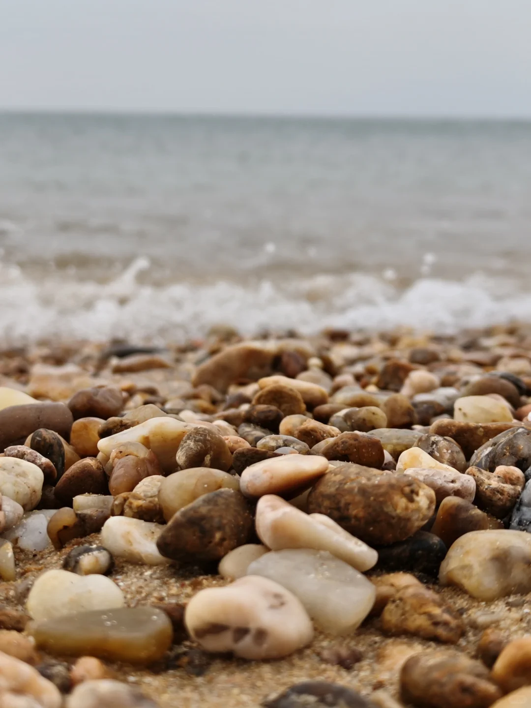 五一带🐶玩海莱州我太爱了（景点美食篇）