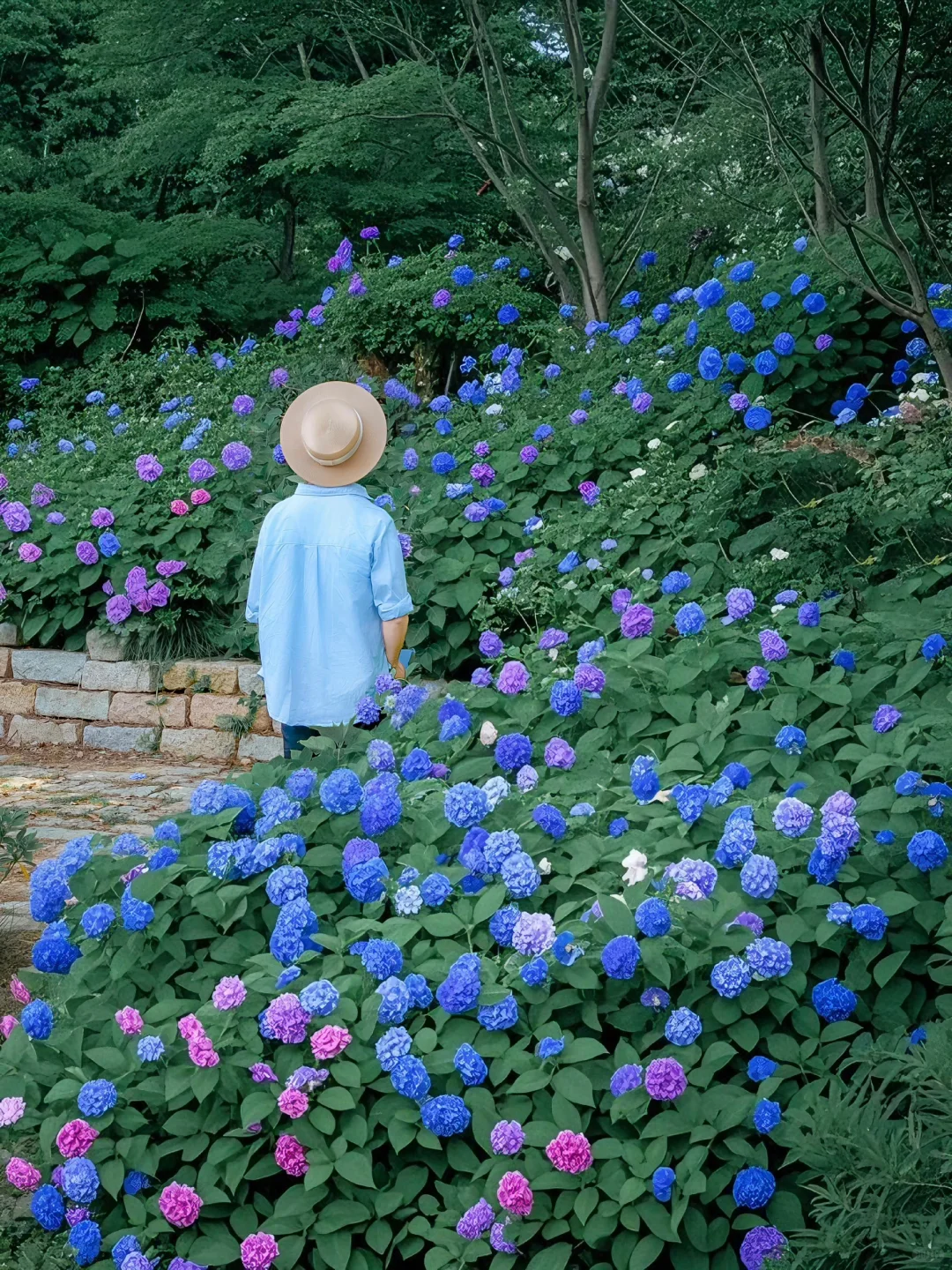 以为苏州很美了！直到我看到这个水上园林🏯