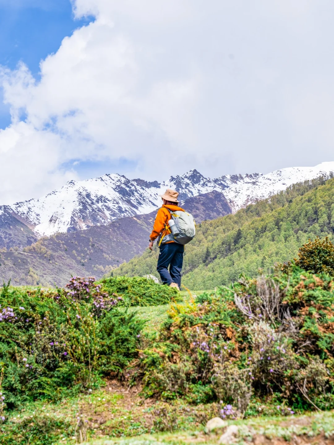 5.26实拍｜四姑娘山徒步 闯入20℃的绿野仙踪