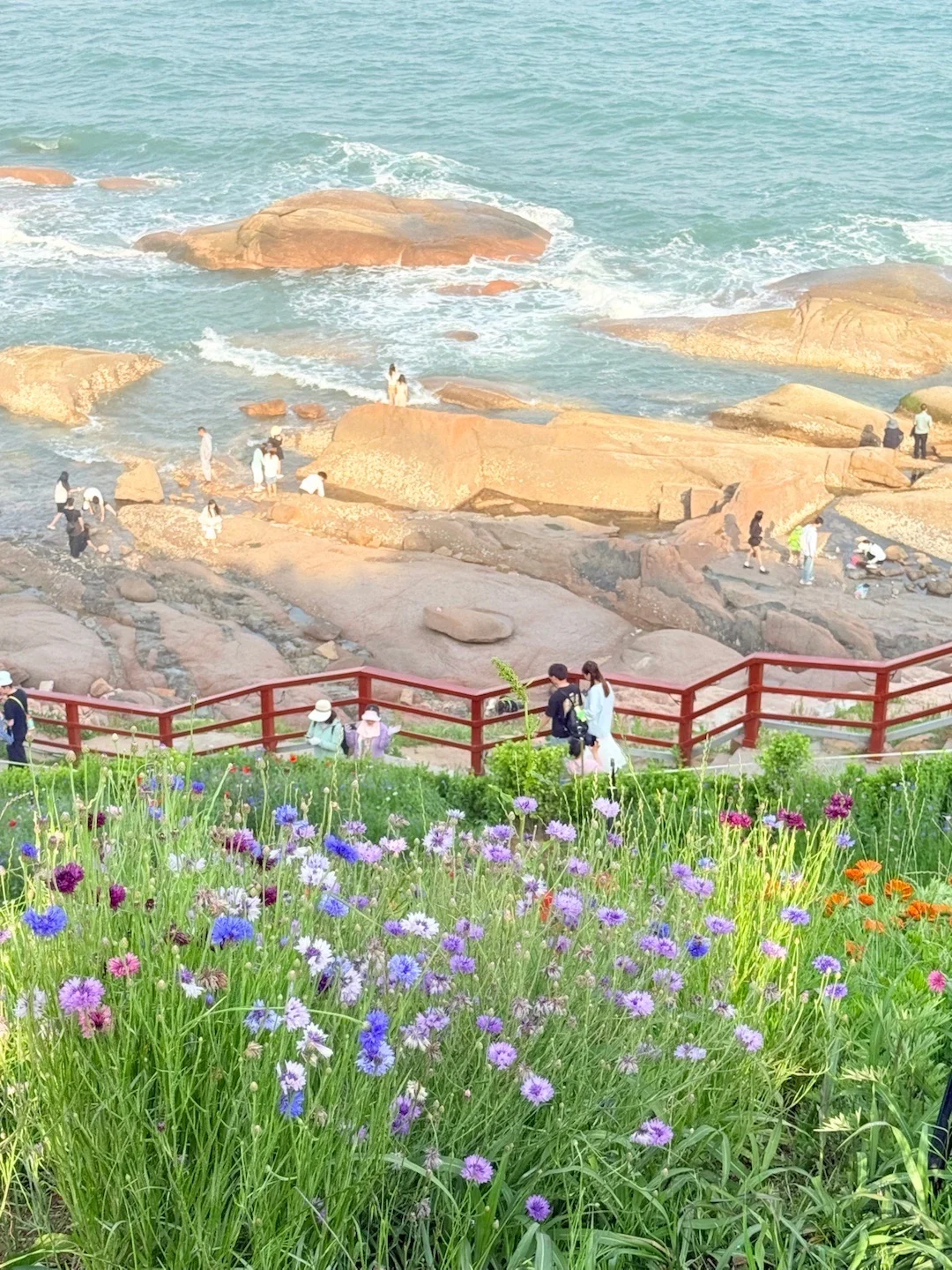 已被宰哭！奉劝最近来青岛旅游的人...