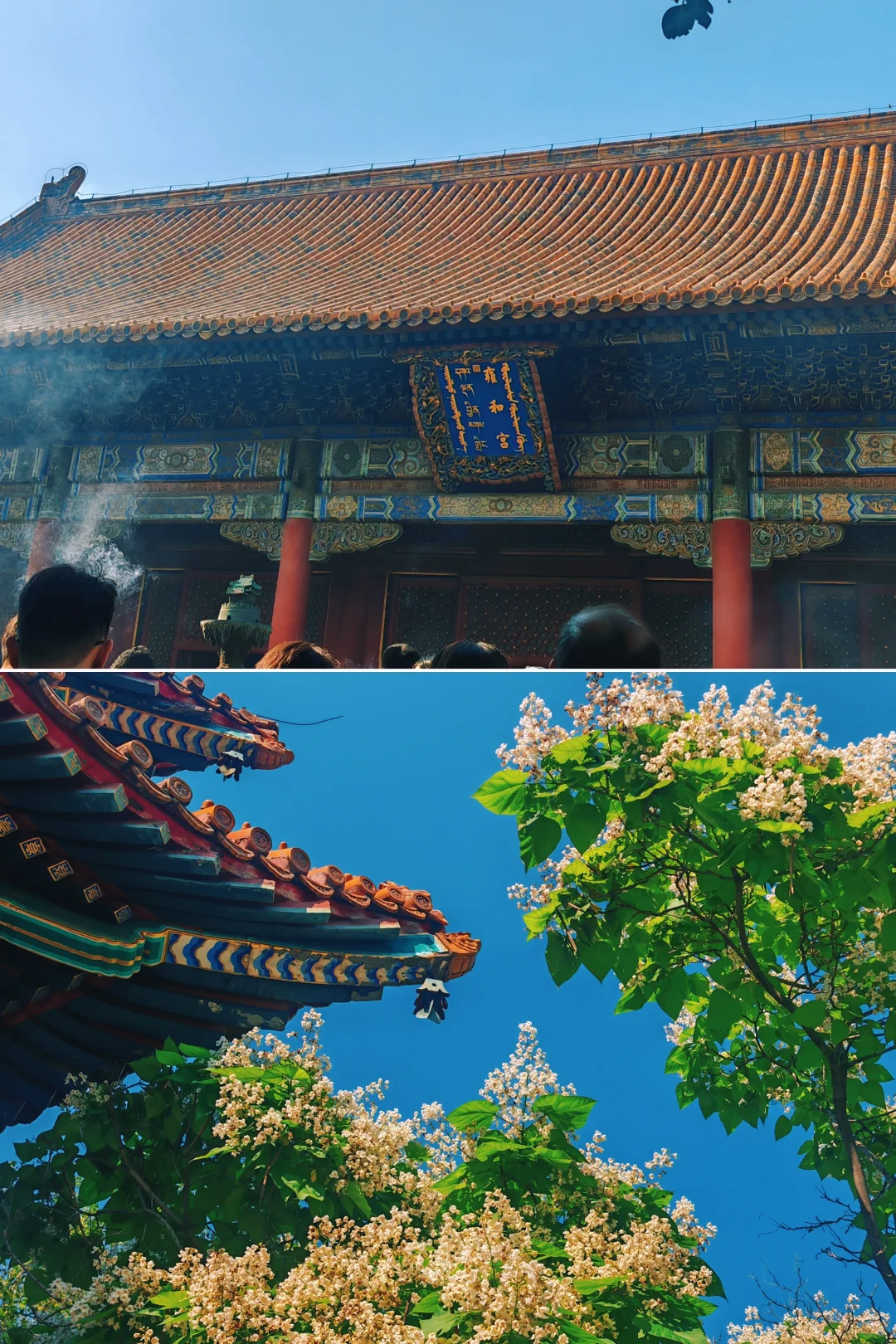 说走就走的特种兵之旅🏃