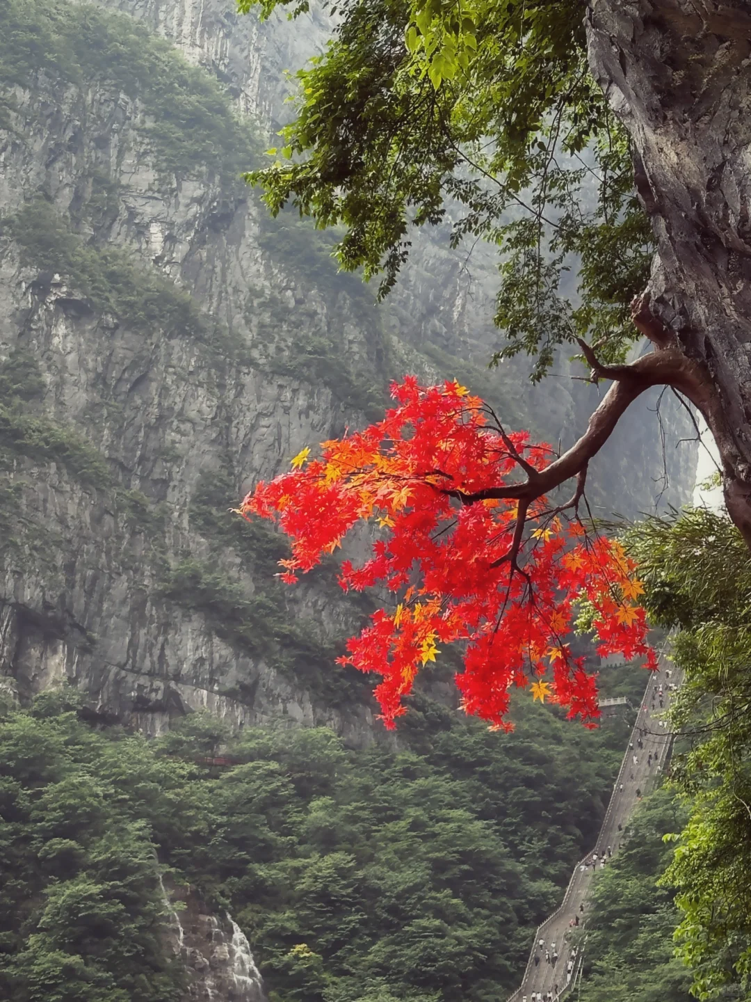 如果非要让我在天门山和大峡谷二选一…