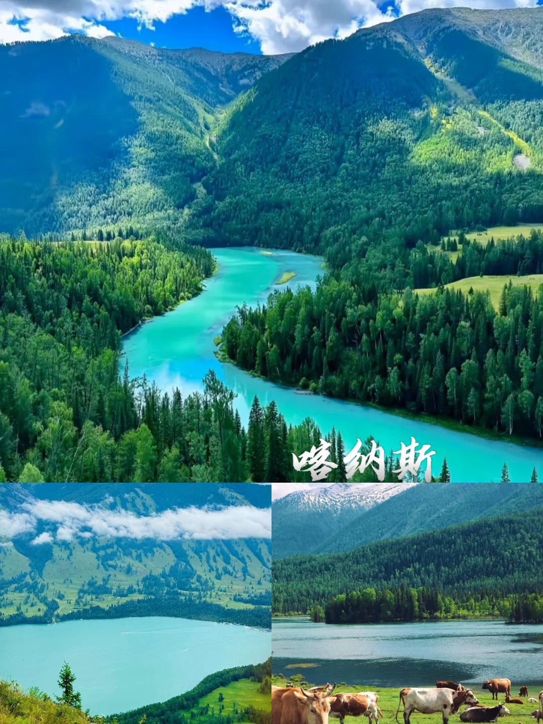 6-8月新疆必游景点 | 梦中的自由地