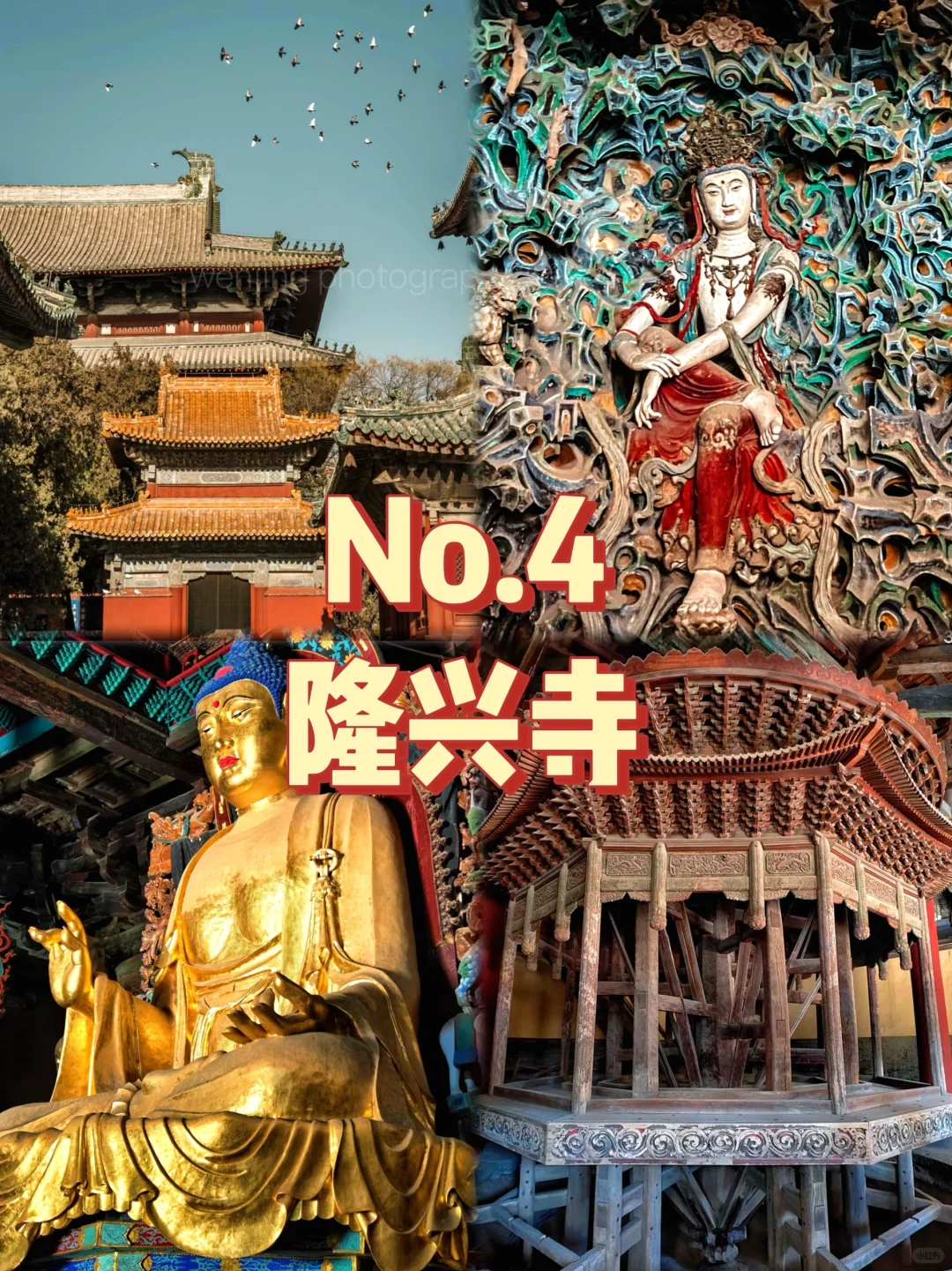 石家庄九大宝藏景点😎免费好玩超惊喜