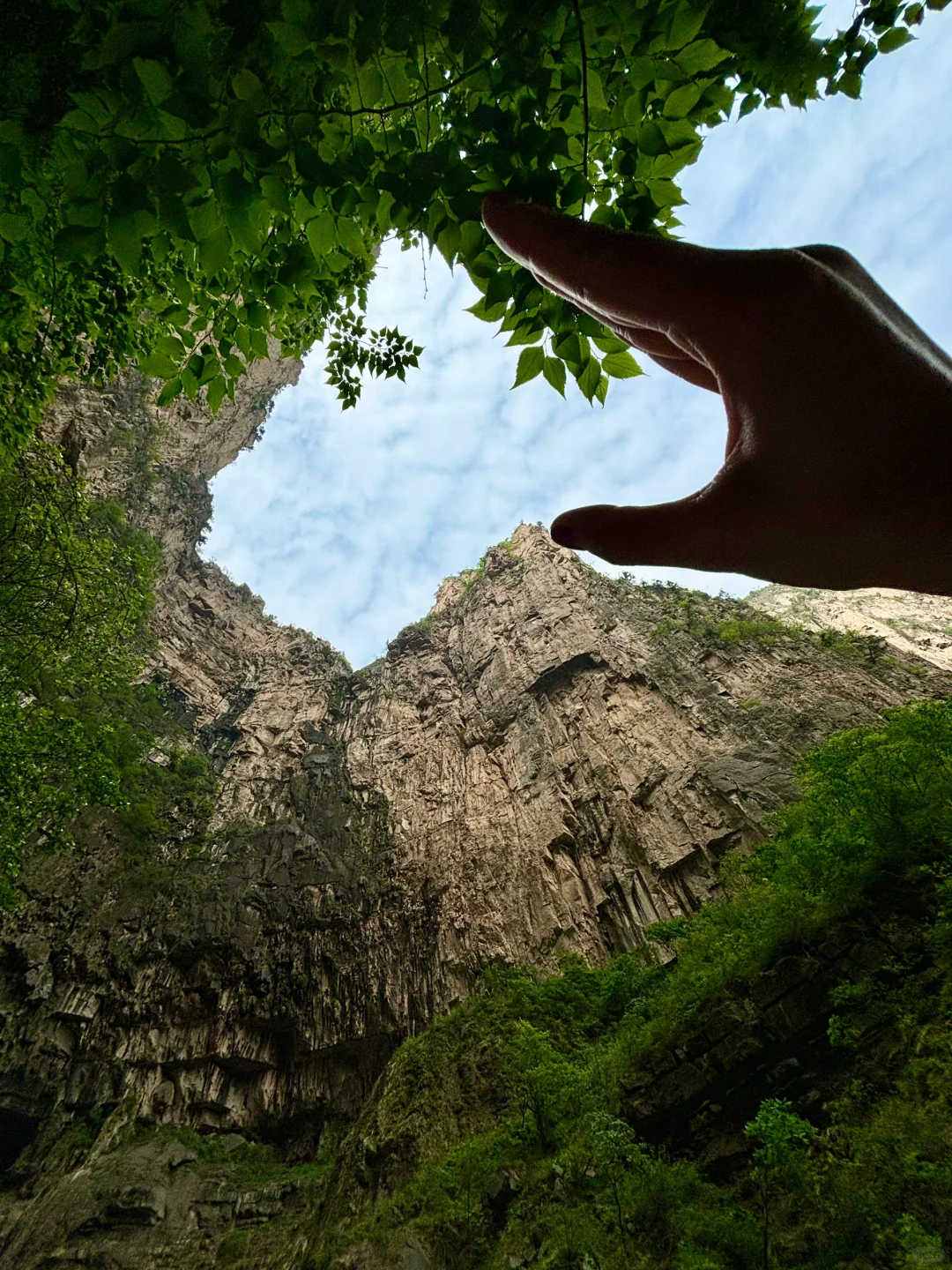 童话里的绿野仙踪丨云台山最全攻略🌲🌞