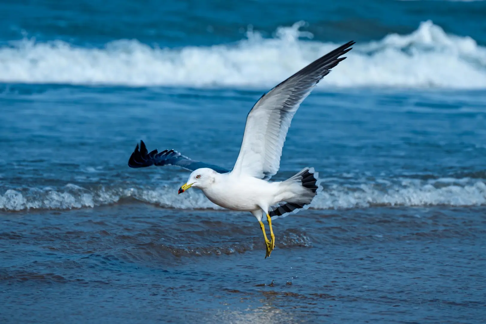 你失约的威海蓝，我替你去看了真的很美🌊