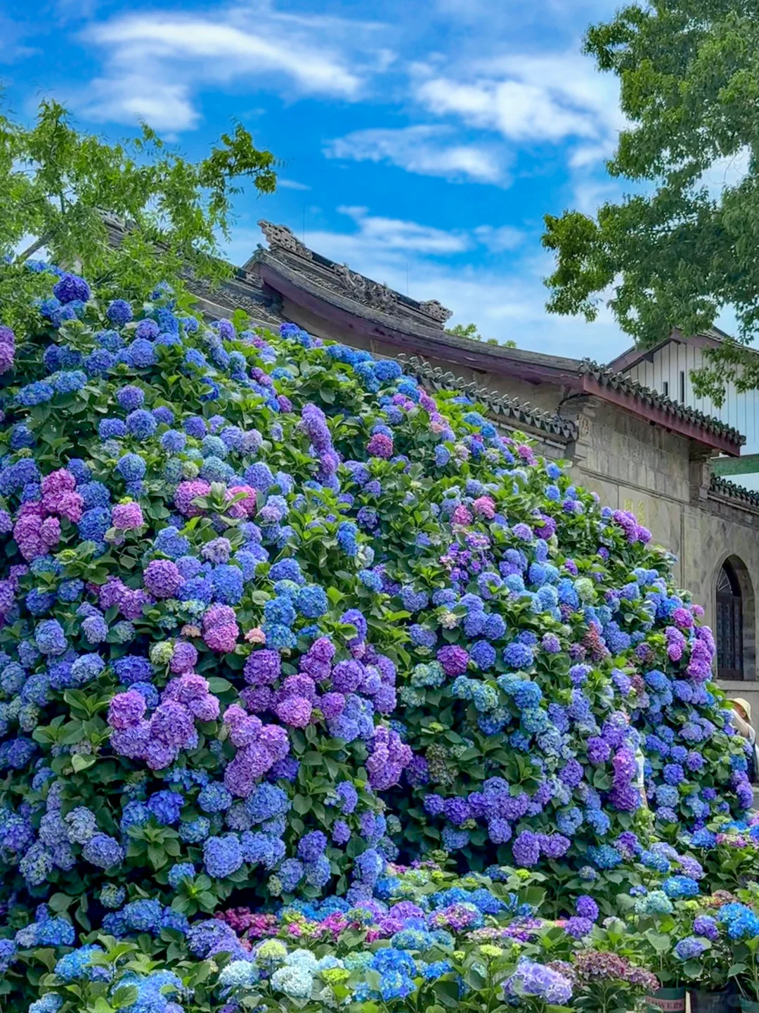 以为苏州很美了！直到我看到这个水上园林🏯