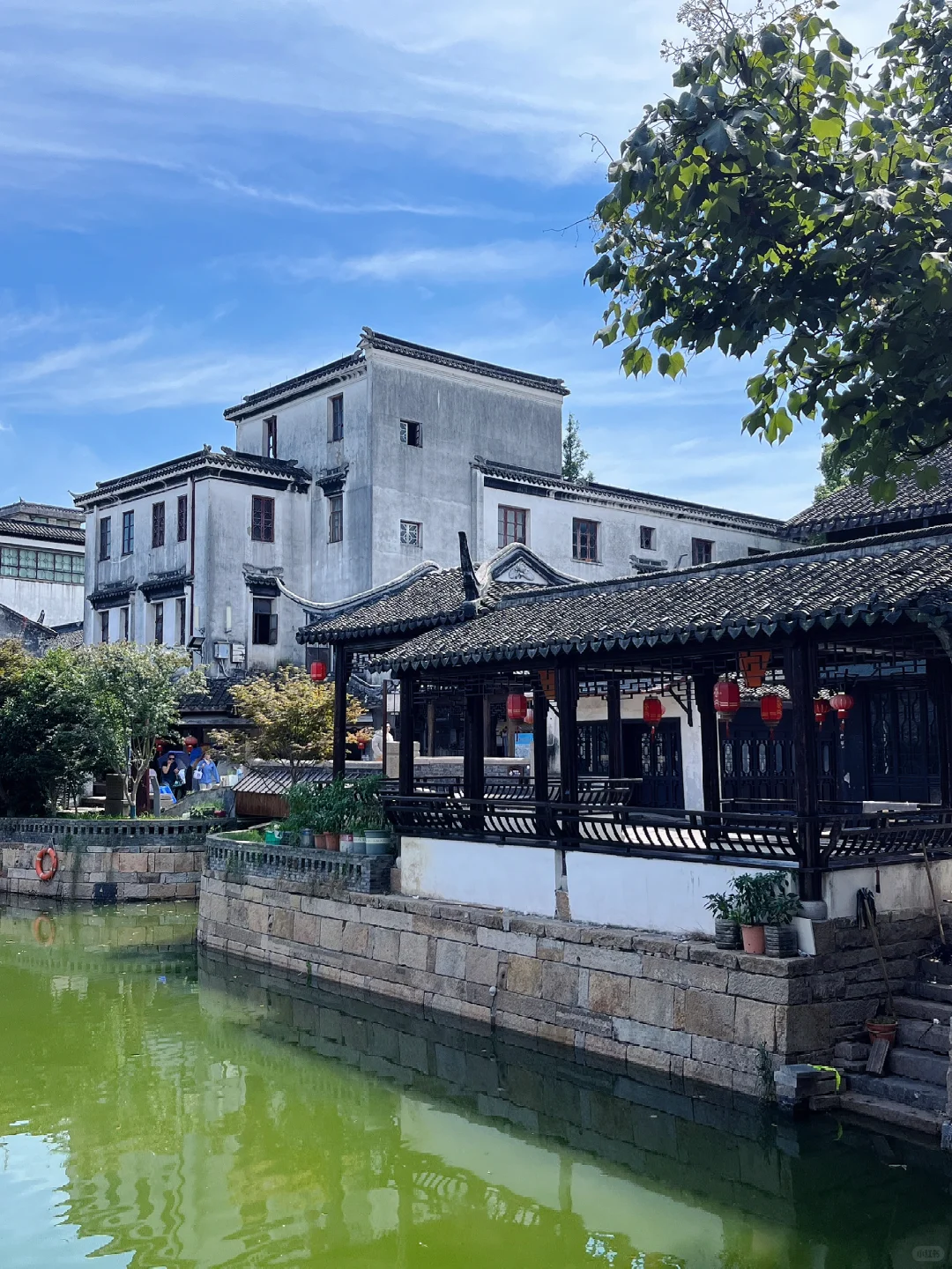 暑假来苏州想避开人群，来这个古镇就对啦～