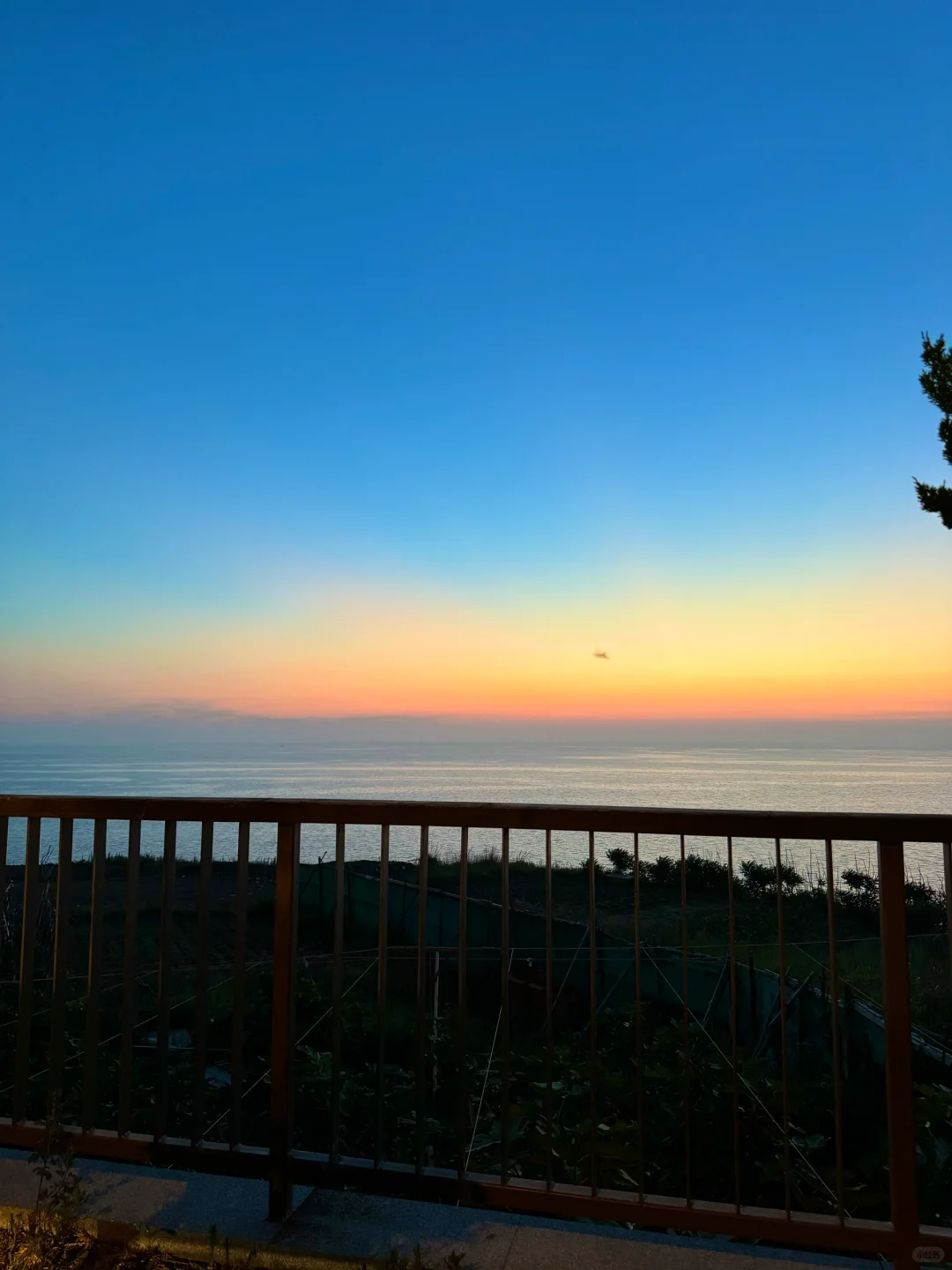 傍晚的威海！！就是一个巨大的lalaland。。。