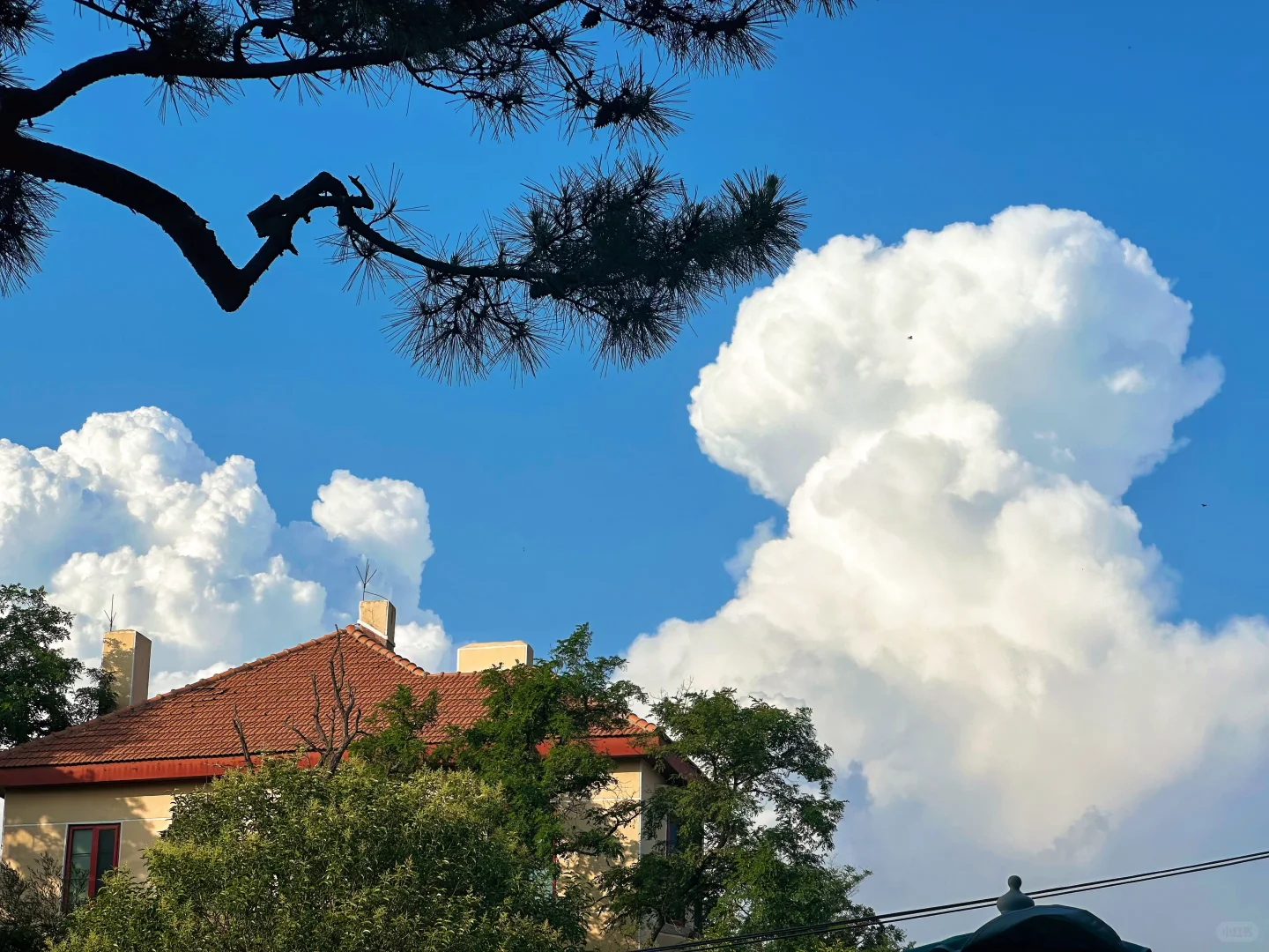 🌸4月份邯郸出发去青岛游玩的省钱攻略