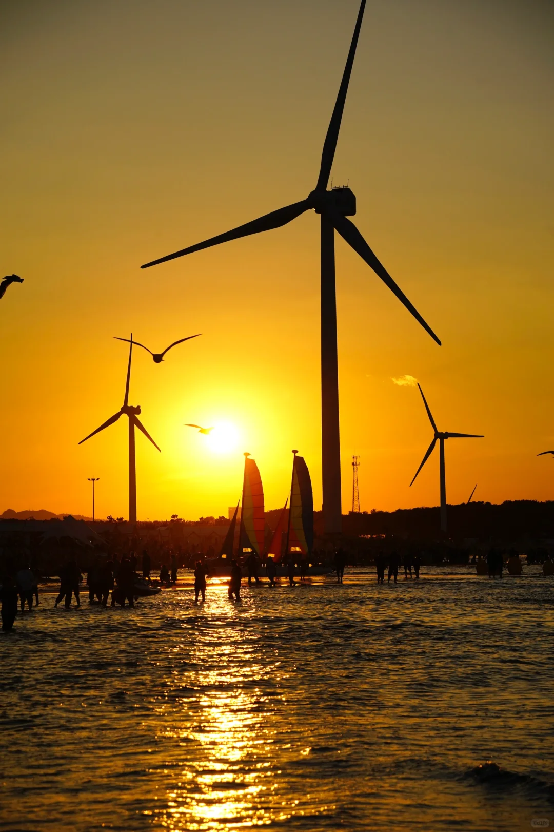 ‼️你永远可以相信隐藏在威海的浪漫❤️