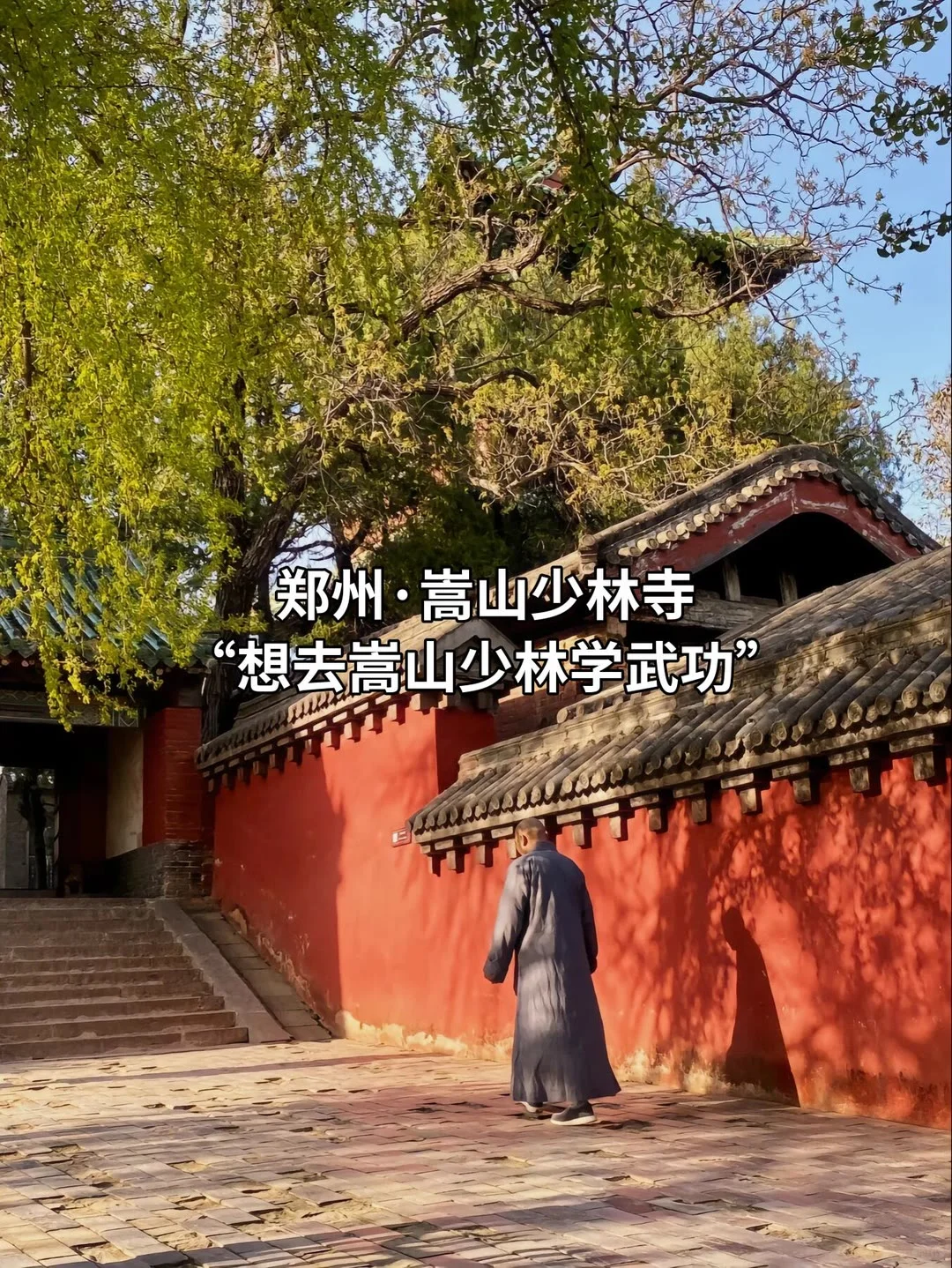 河南此生必去的十个经典