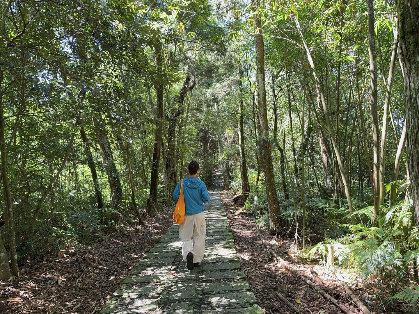 日月潭｜女生独行1日往返｜交通、装备、景点